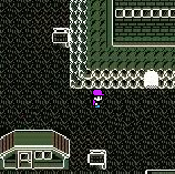 Escape From Lavender Town