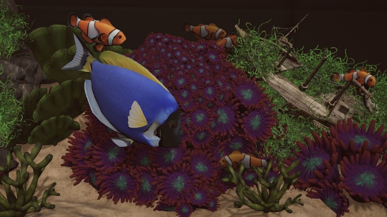 Aquarium Designer: Sea Life