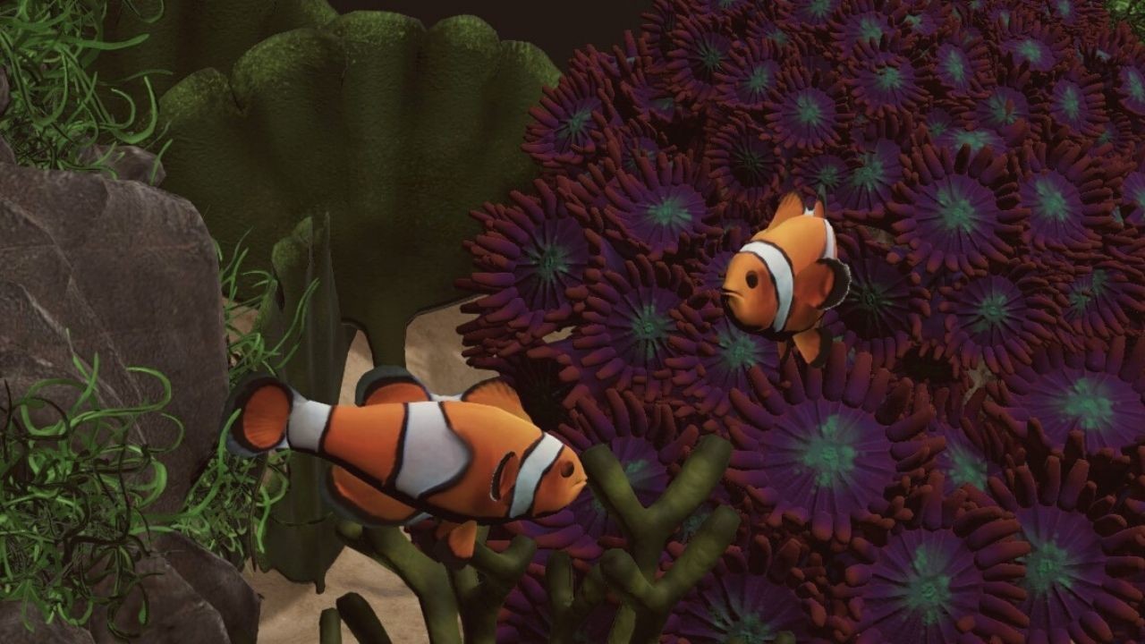 Aquarium Designer: Sea Life