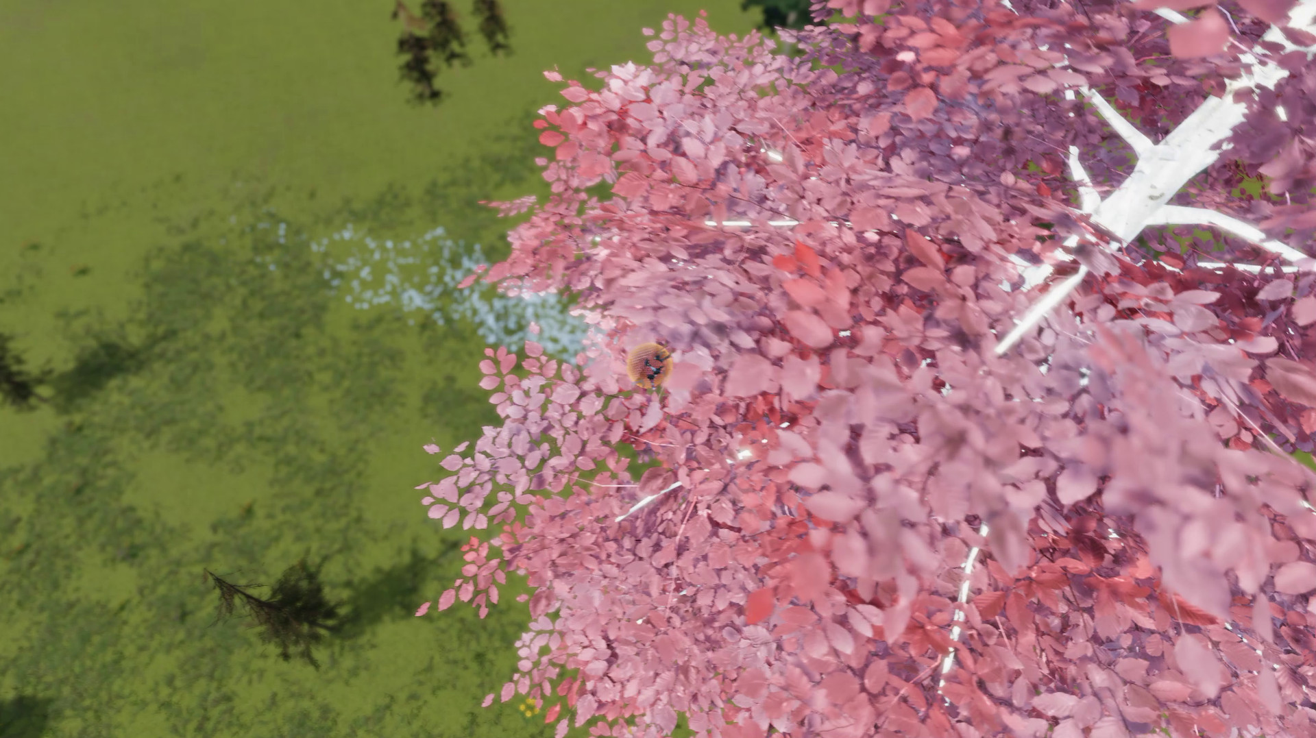 The Ball Flow: Nature and Light