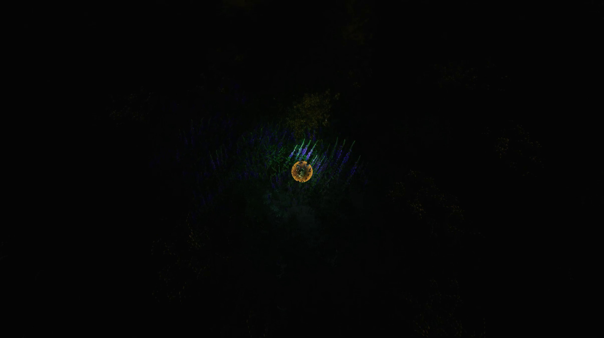 The Ball Flow: Nature and Light