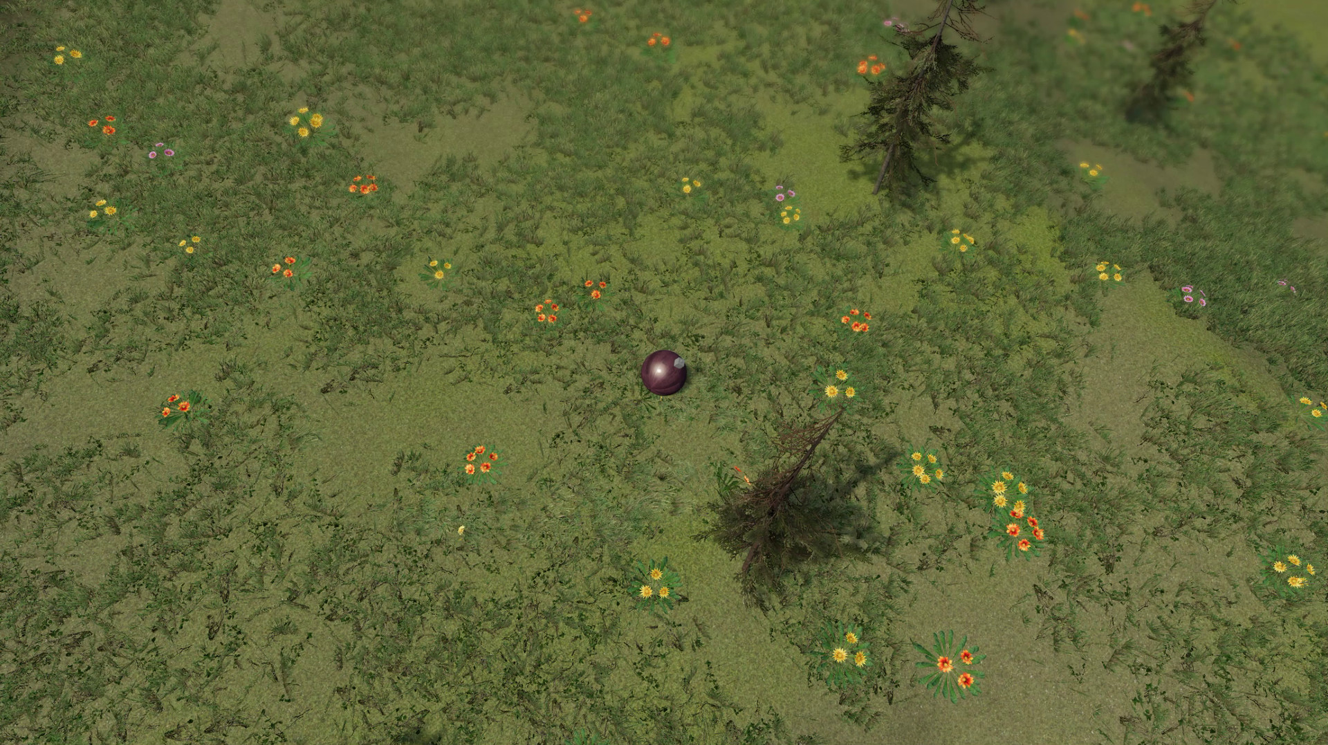 The Ball Flow: Nature and Light