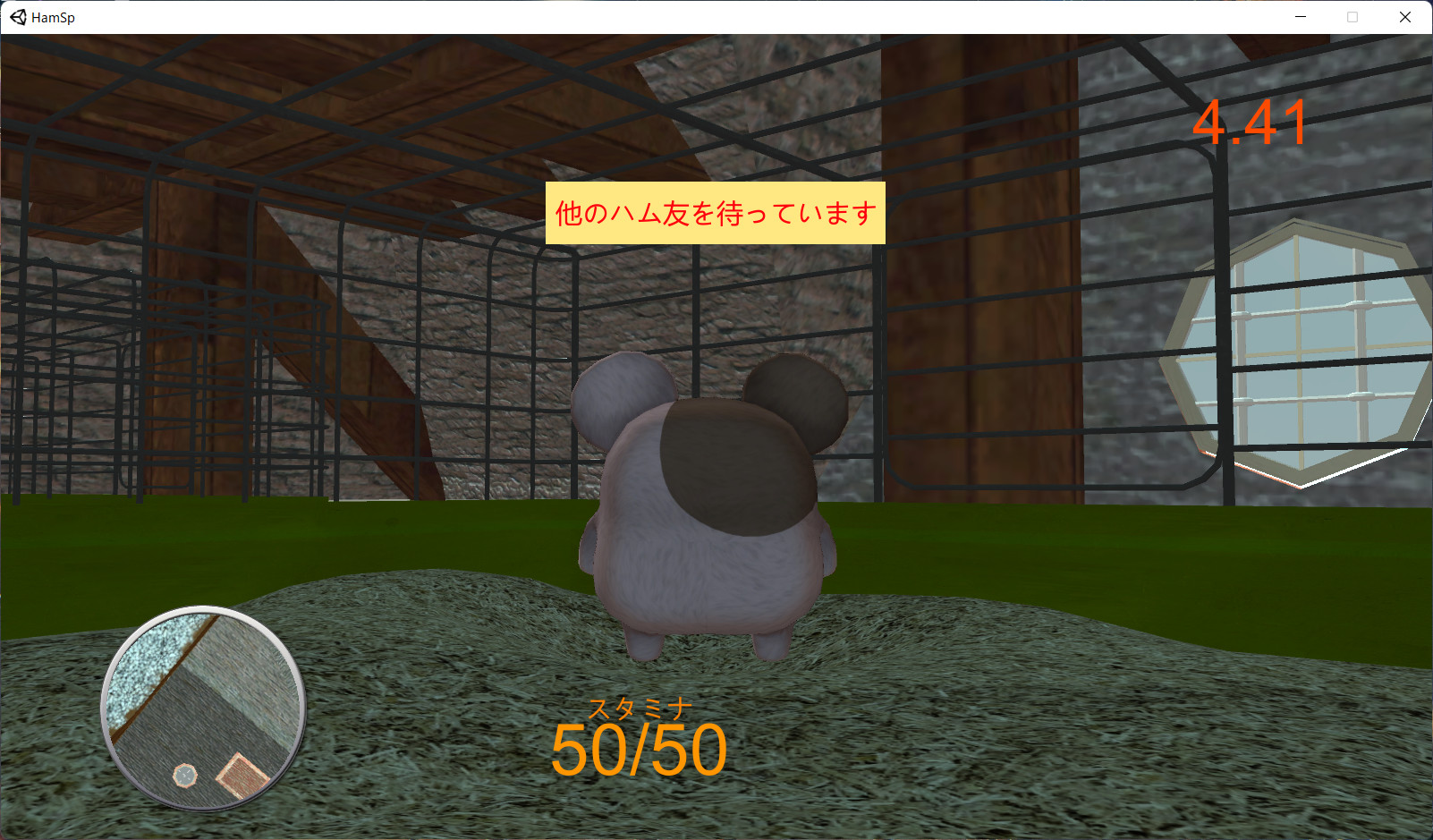 Ham Supi