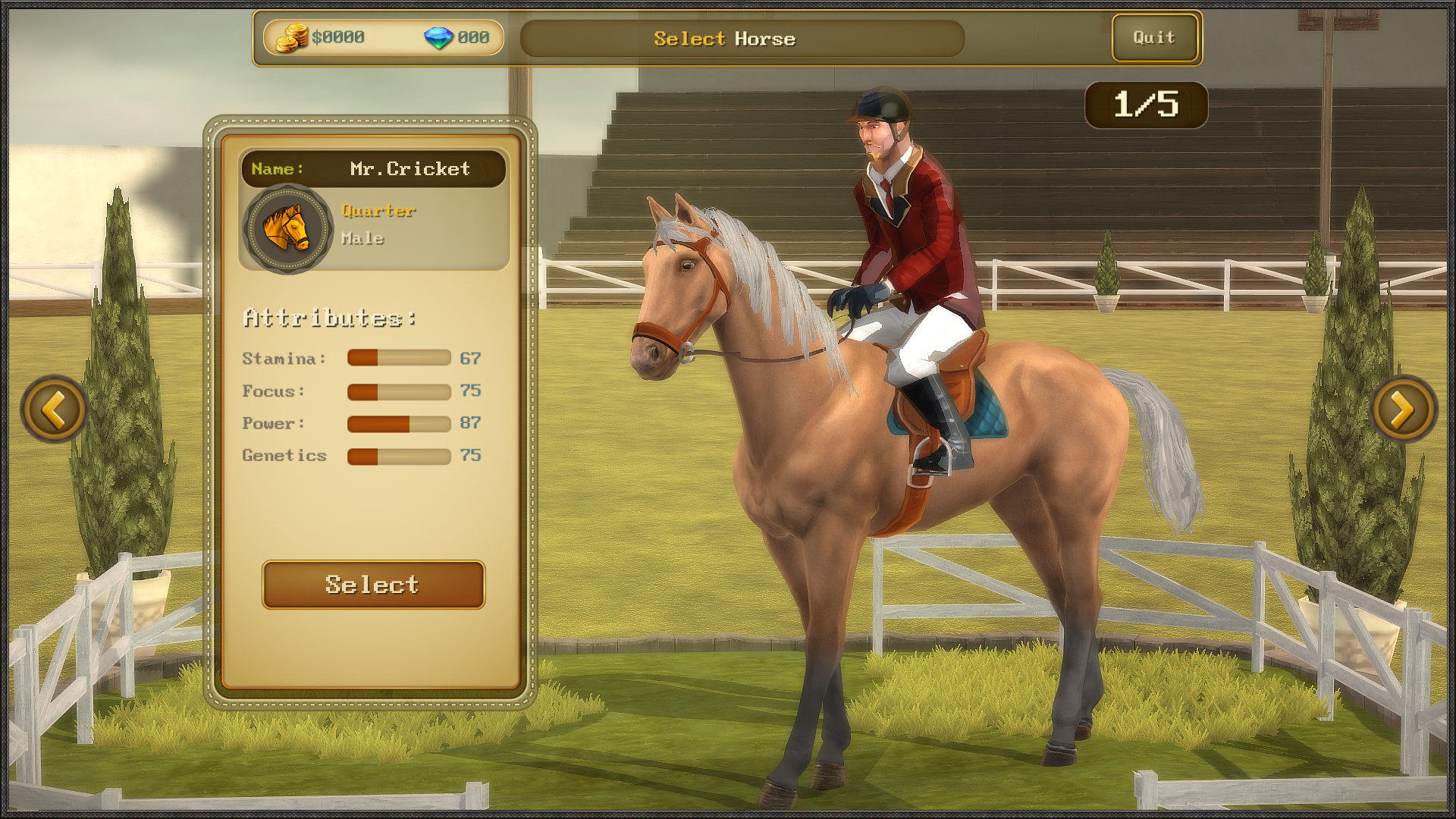 Jumping Horses Champions