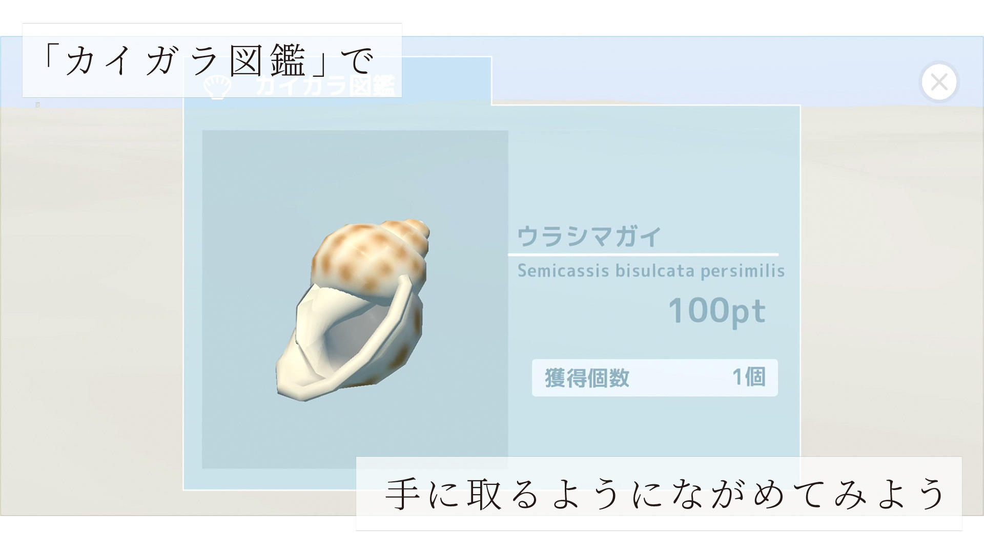 Sound of the Sea