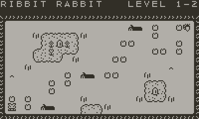 Ribbit Rabbit