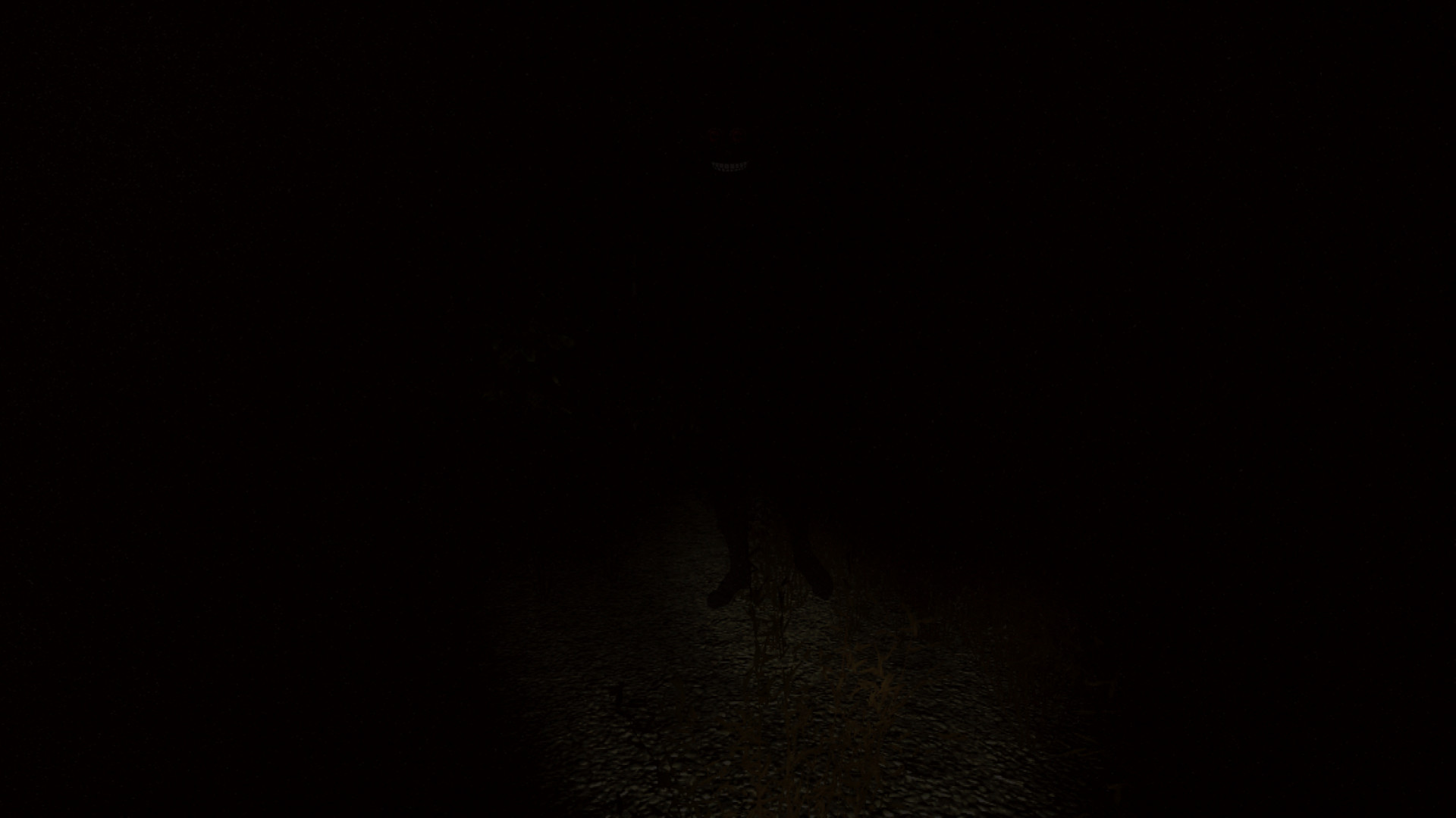 Sciophobia: The Fear of Shadows
