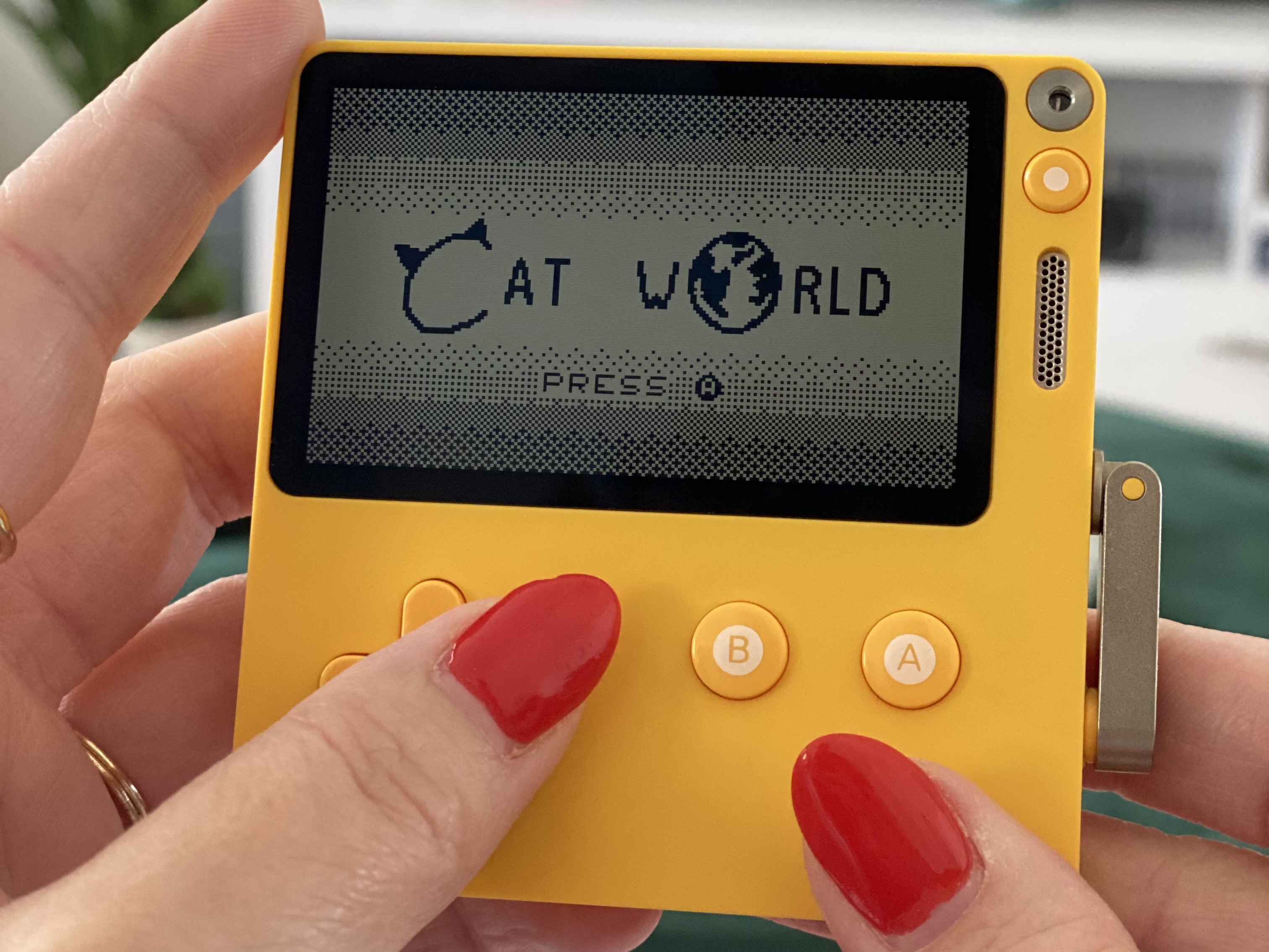 Cat World