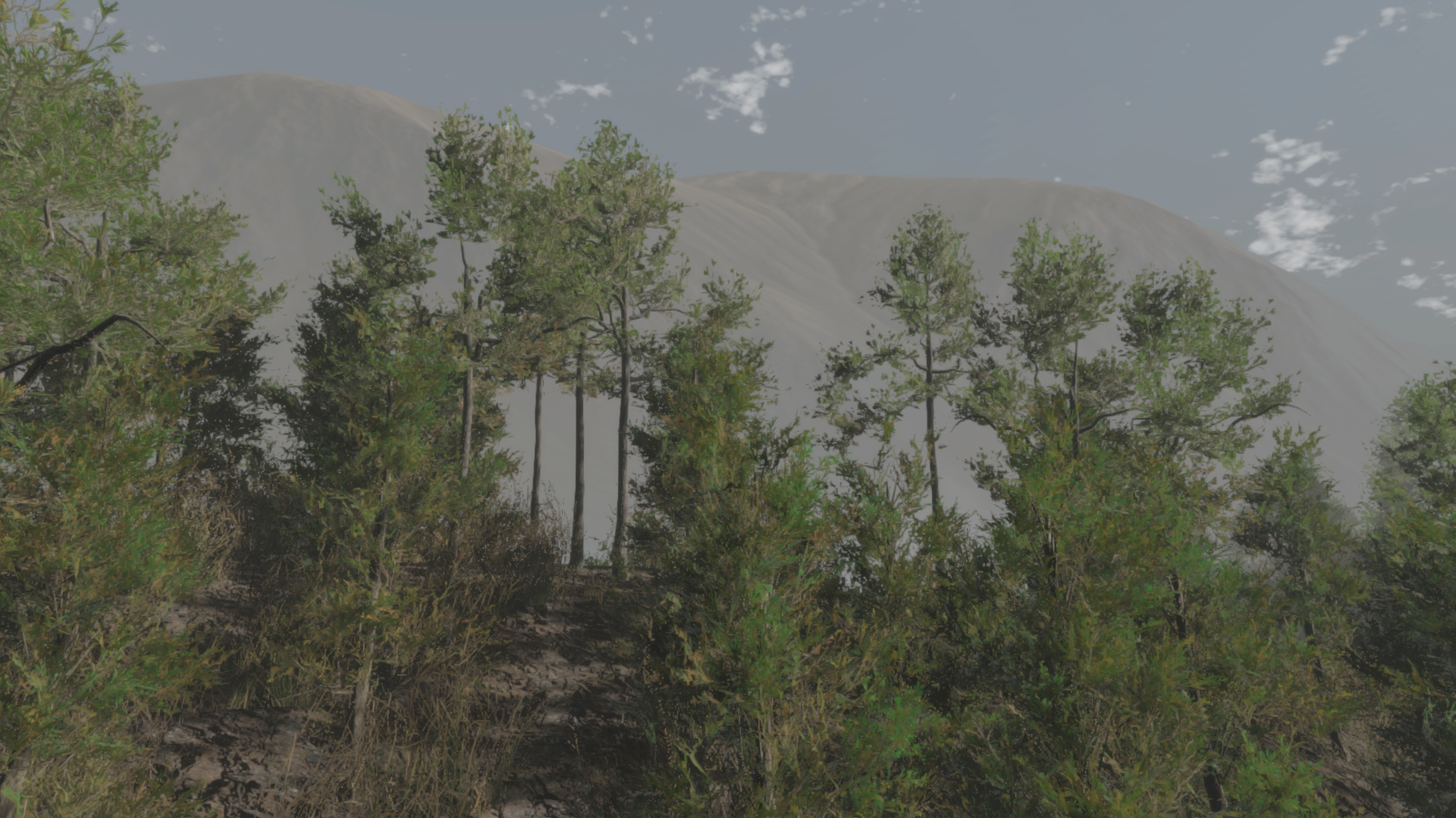 Pro Deer Hunting: Out West