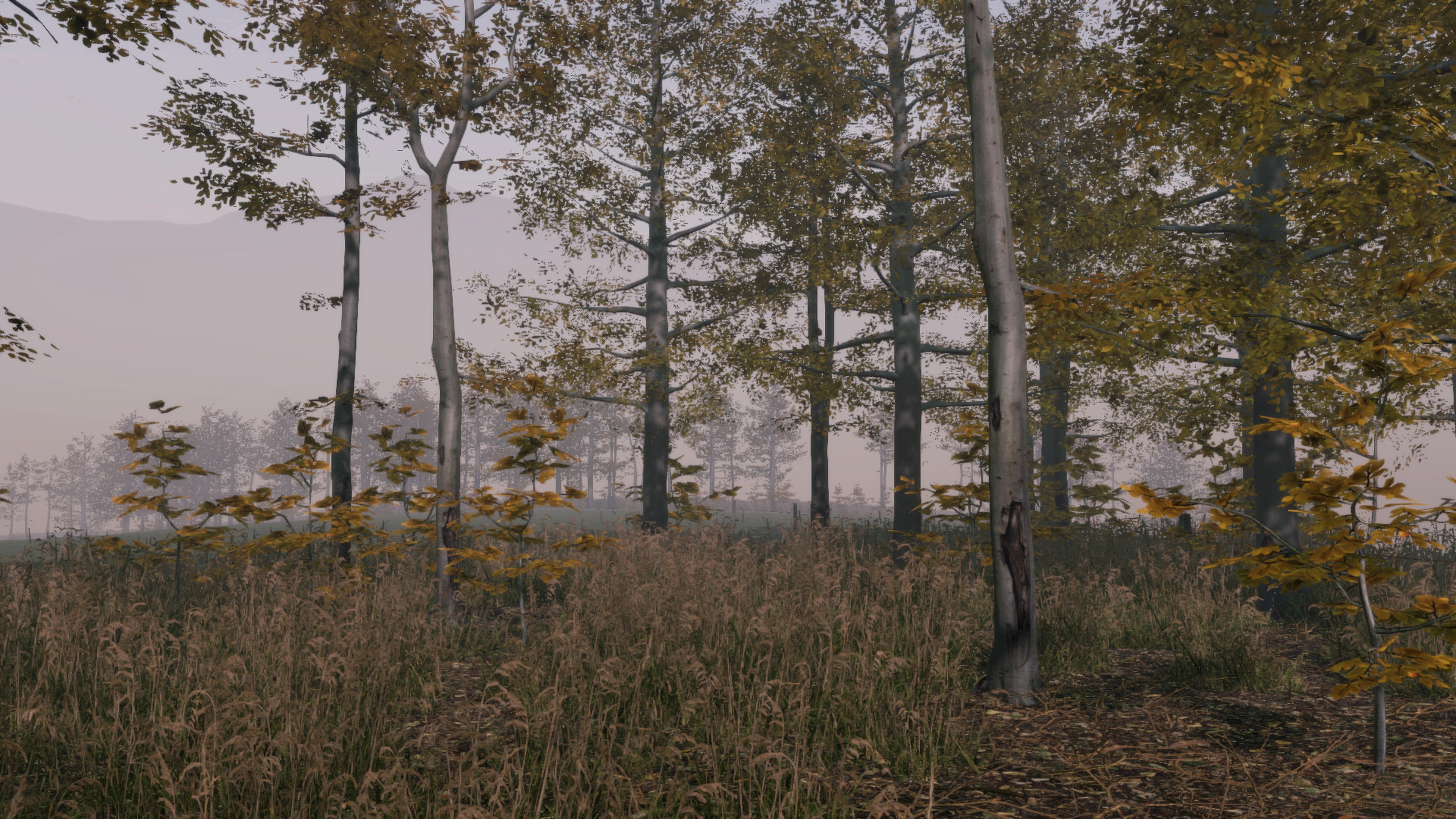 Pro Deer Hunting: Out West
