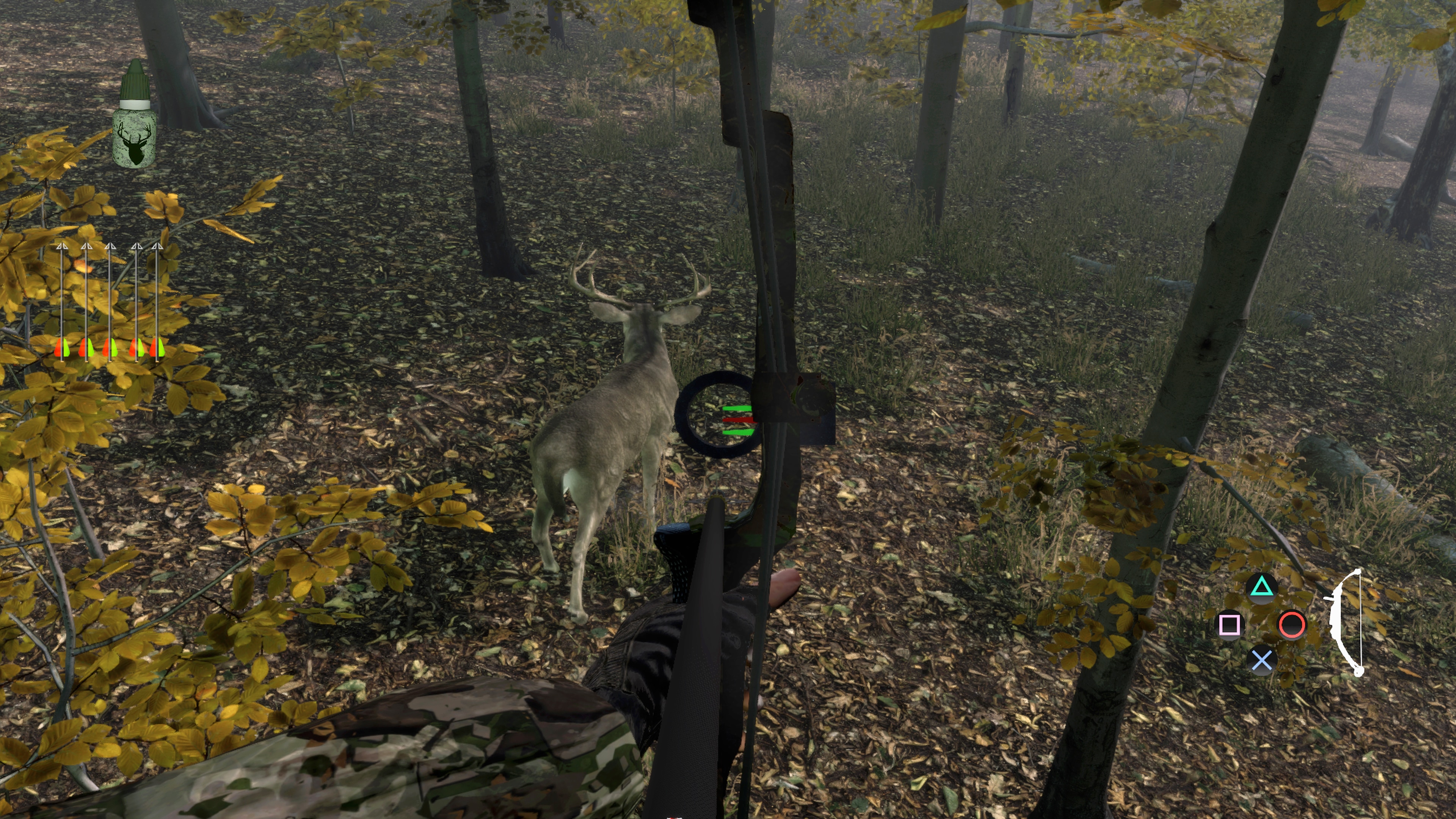Pro Deer Hunting: Out West