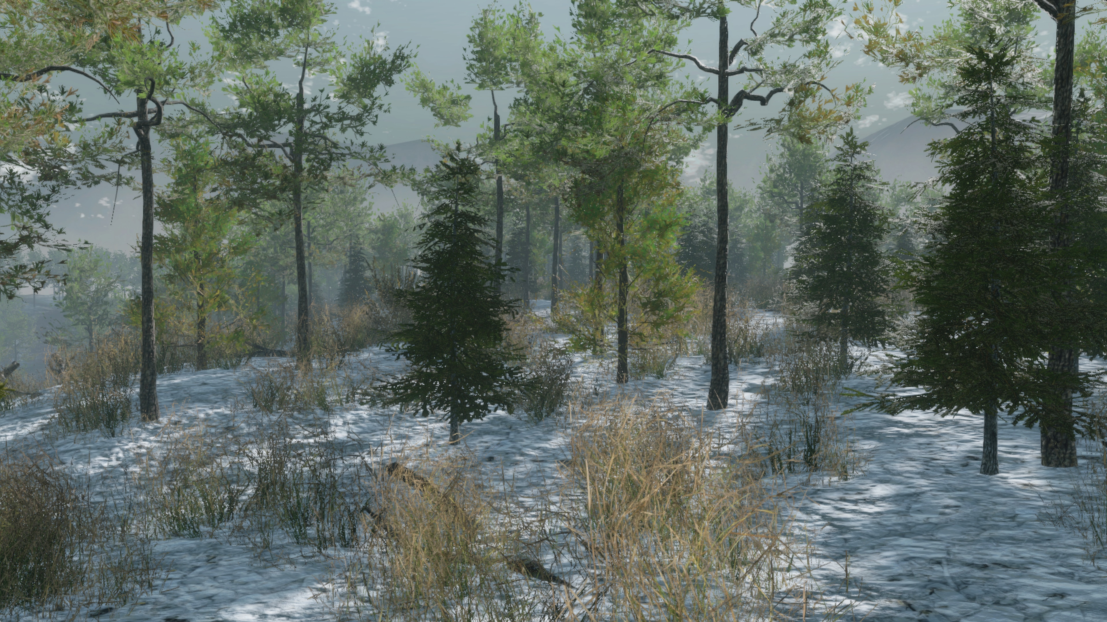 Pro Deer Hunting: Out West