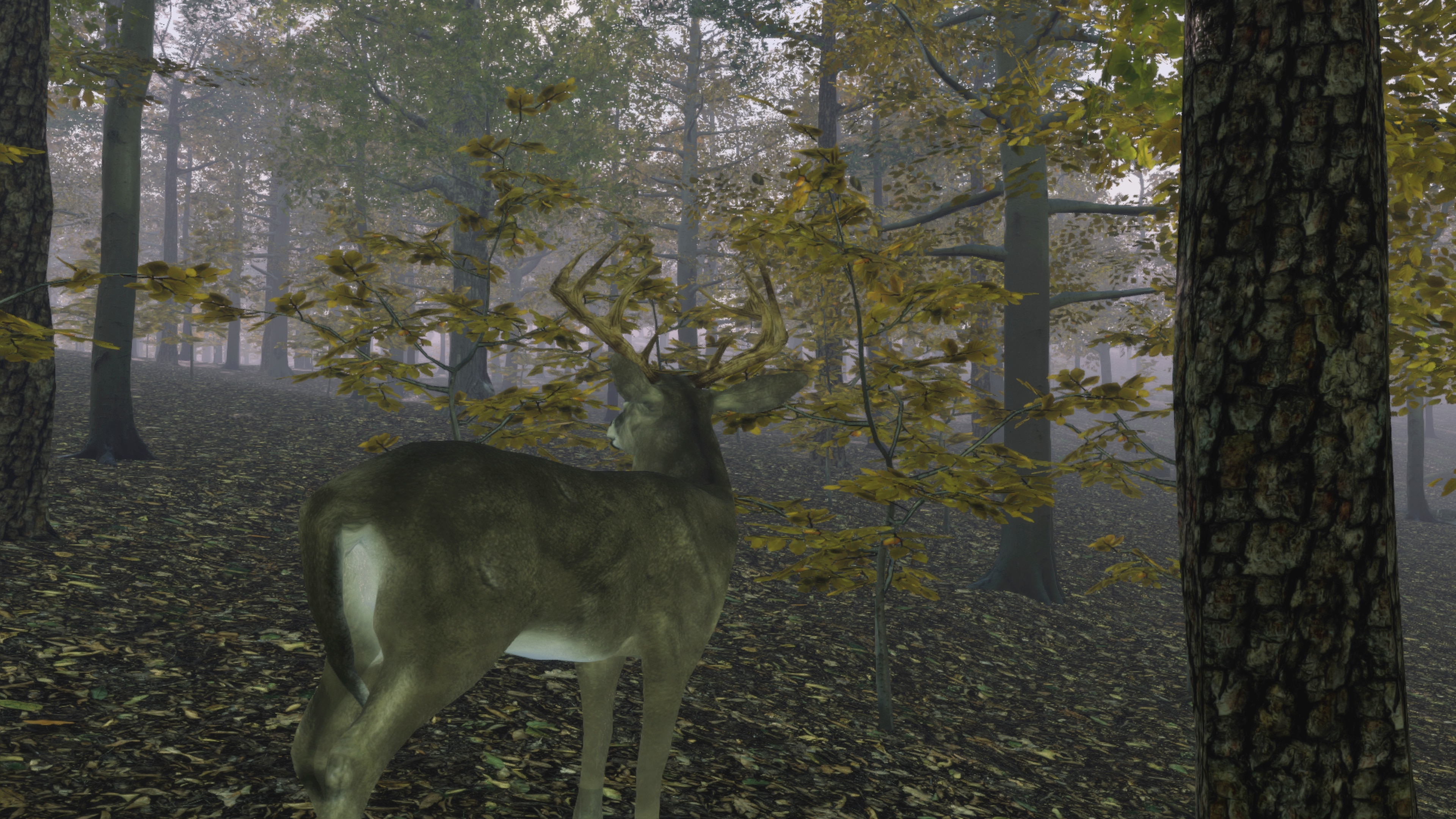 Pro Deer Hunting: Out West