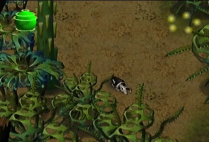 L.O.L.: Lack of Love