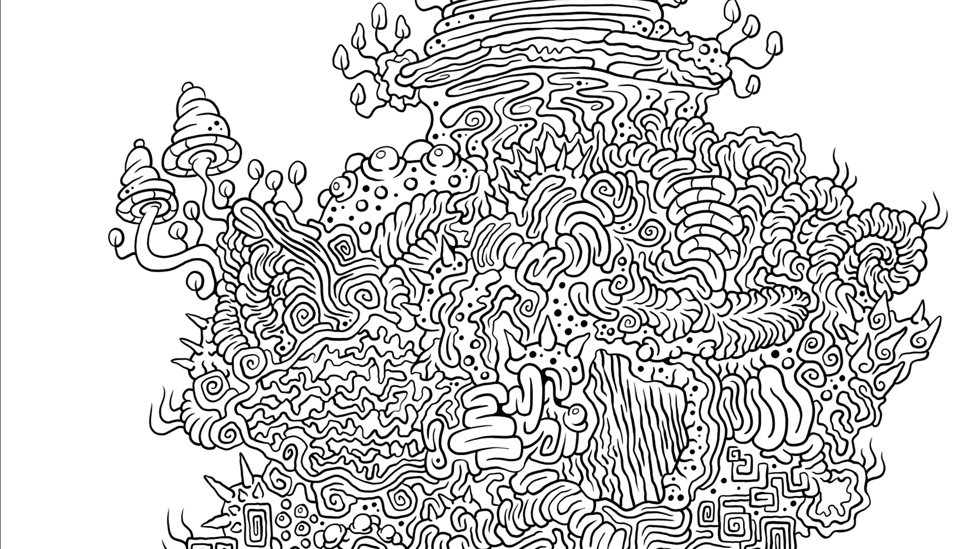 1000 Hidden Snails