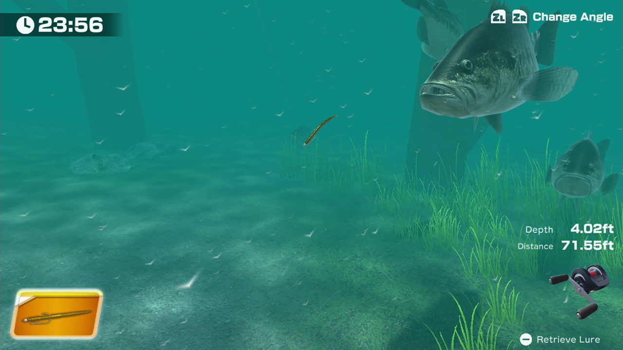 THE Bass Fishing