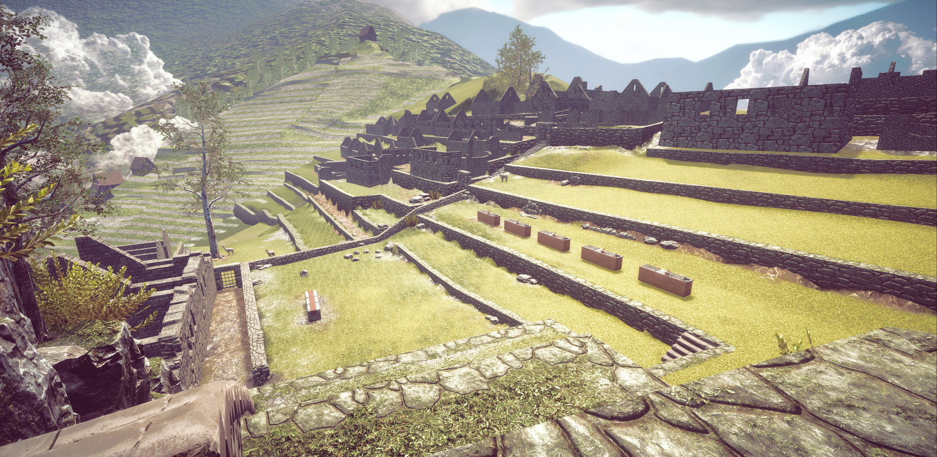 Cooking Championship