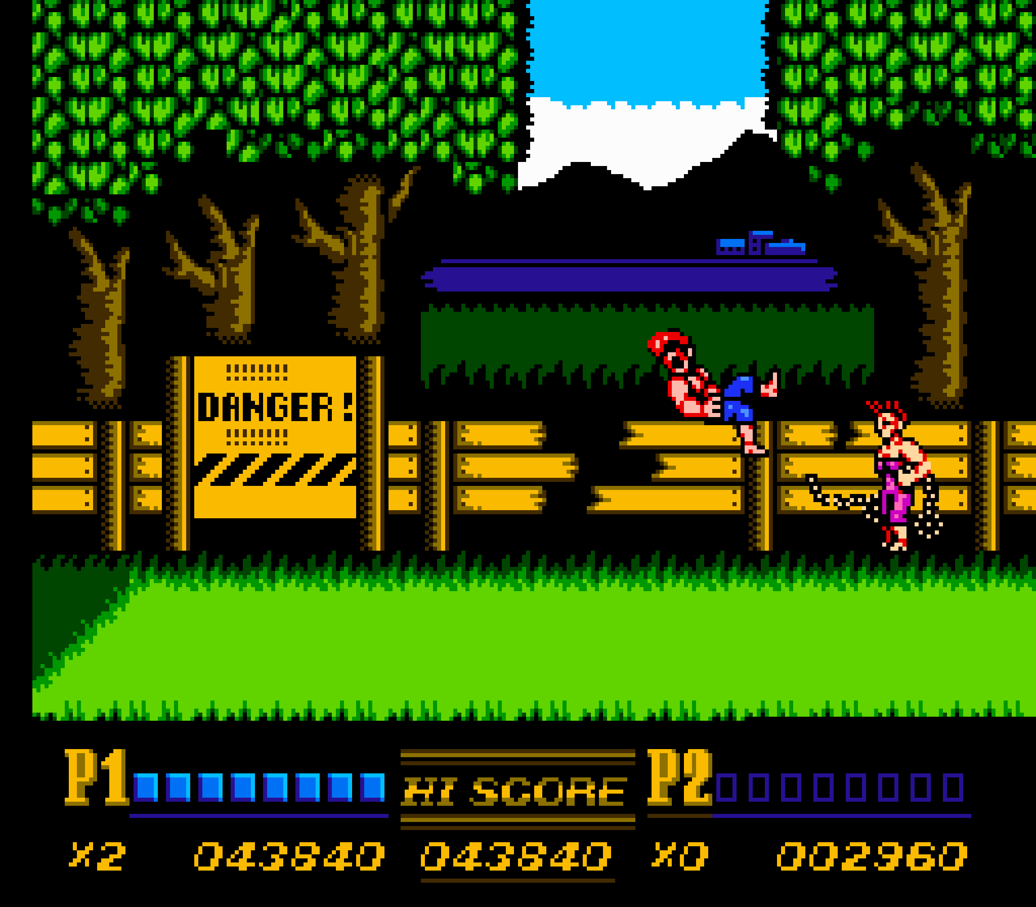 Double Dragon II: The Revenge