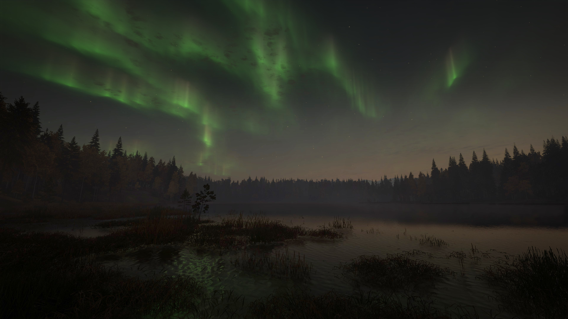 TheHunter: Call of the Wild – Revontuli Coast