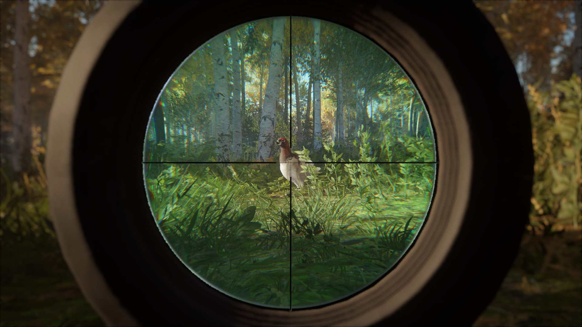 TheHunter: Call of the Wild – Revontuli Coast