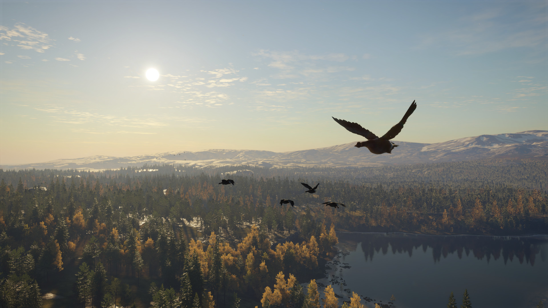 TheHunter: Call of the Wild – Revontuli Coast