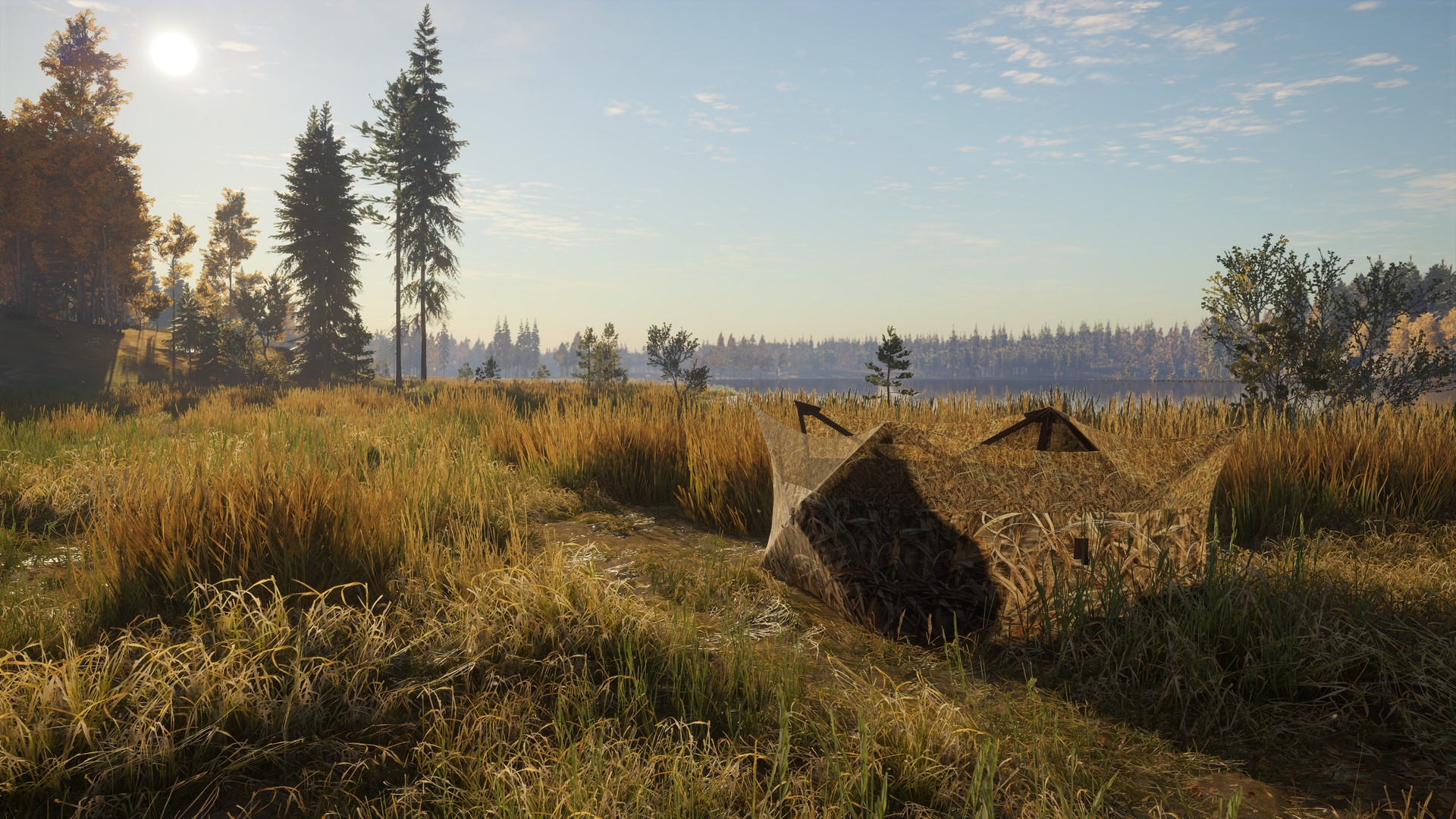 TheHunter: Call of the Wild – Revontuli Coast