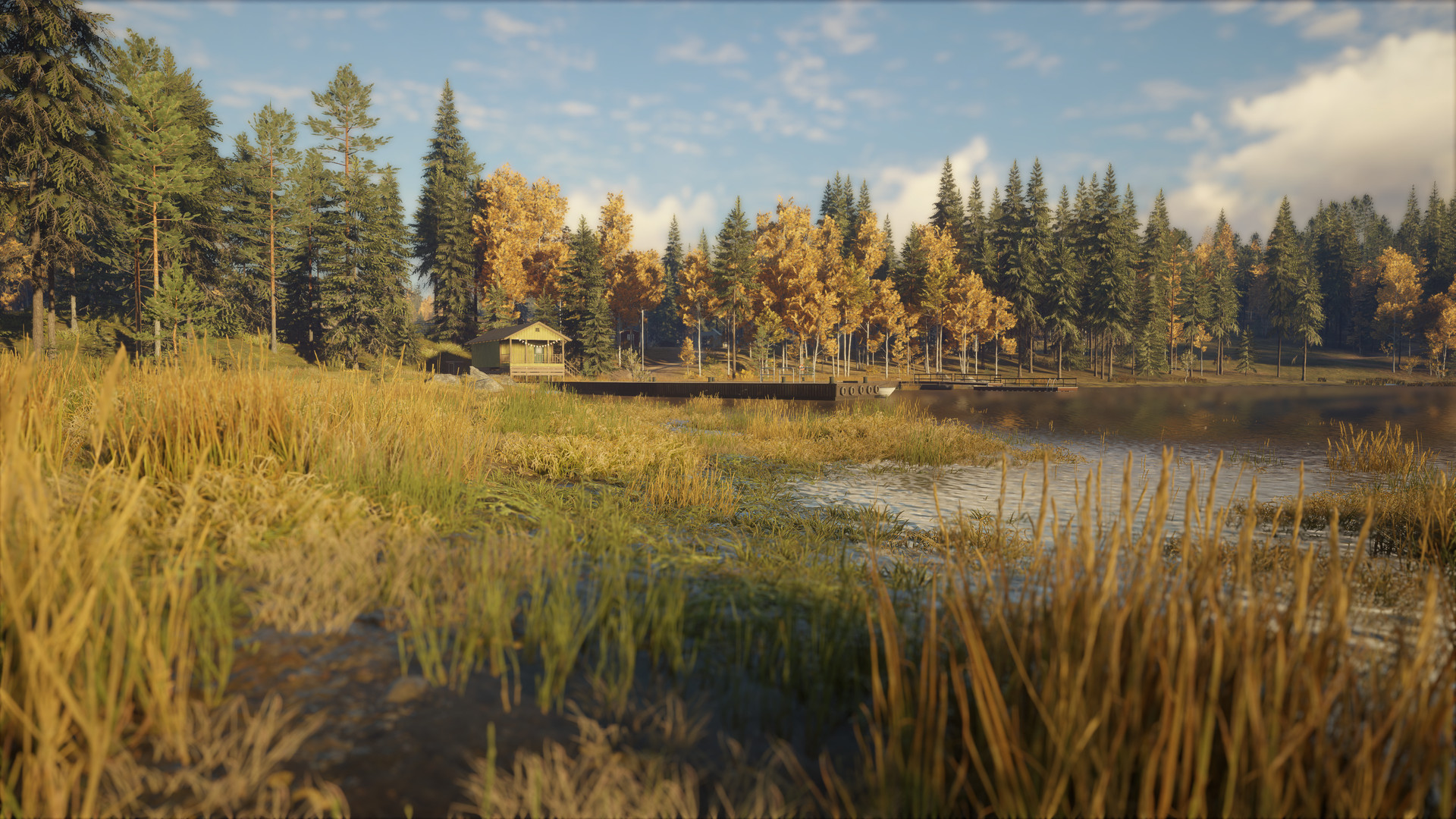 TheHunter: Call of the Wild – Revontuli Coast