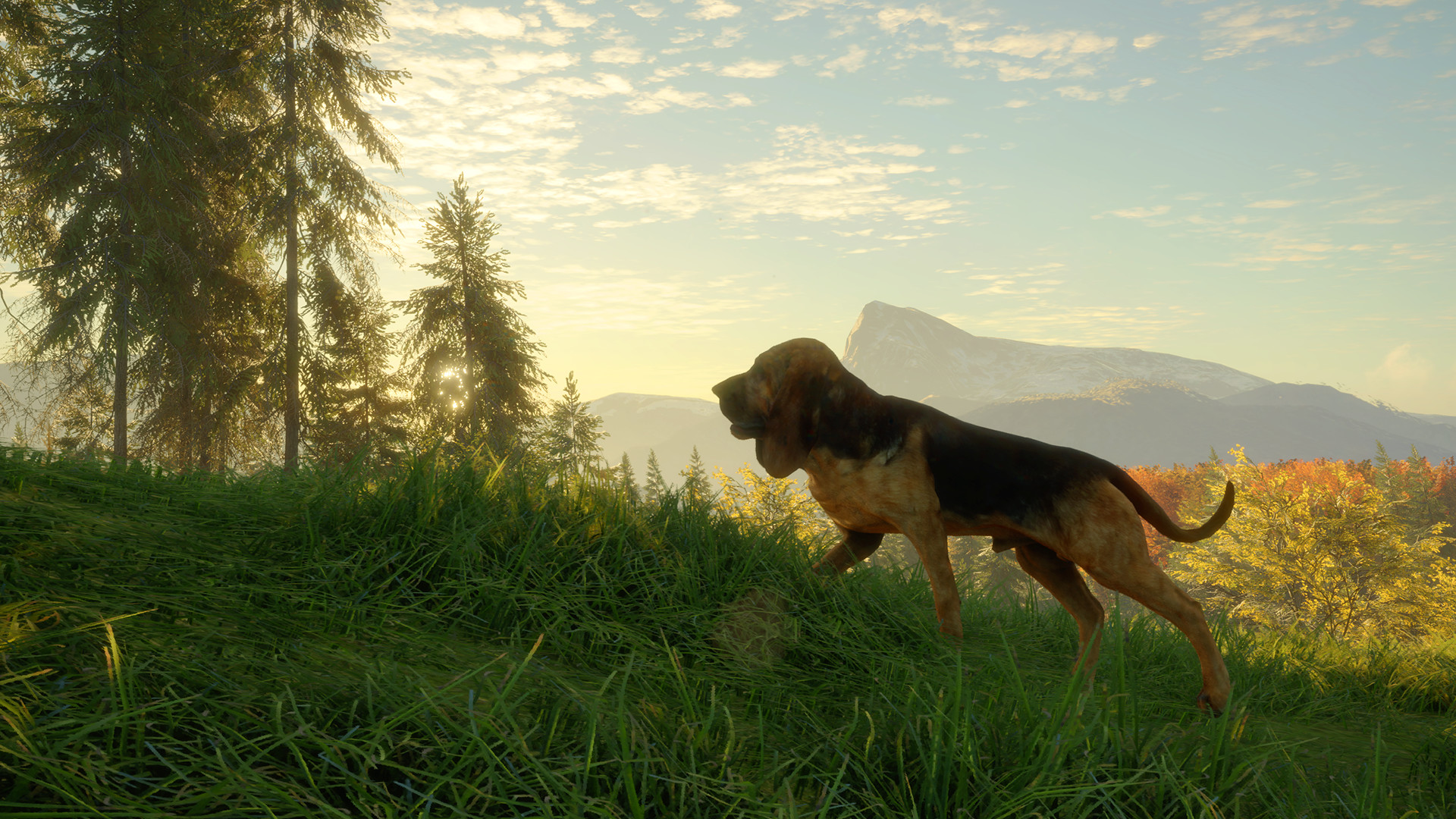 TheHunter: Call of the Wild – Bloodhound