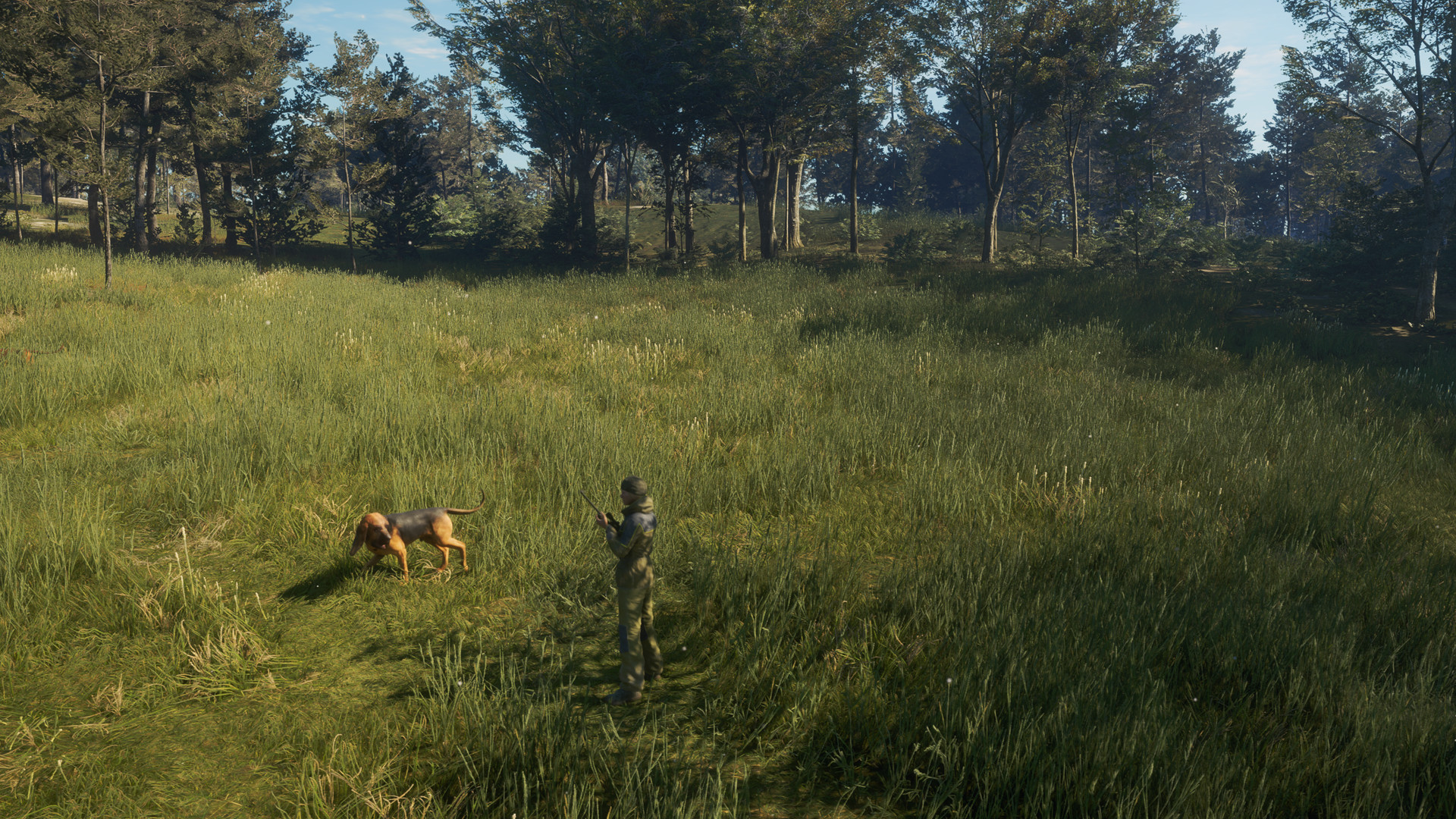 TheHunter: Call of the Wild – Bloodhound