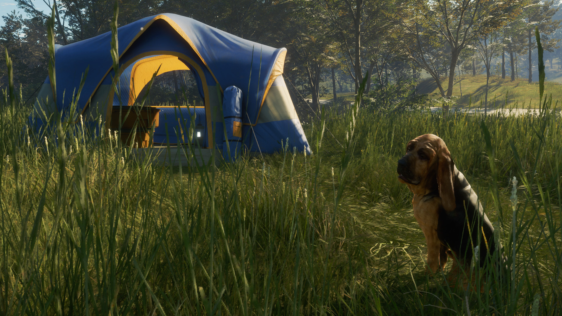TheHunter: Call of the Wild – Bloodhound