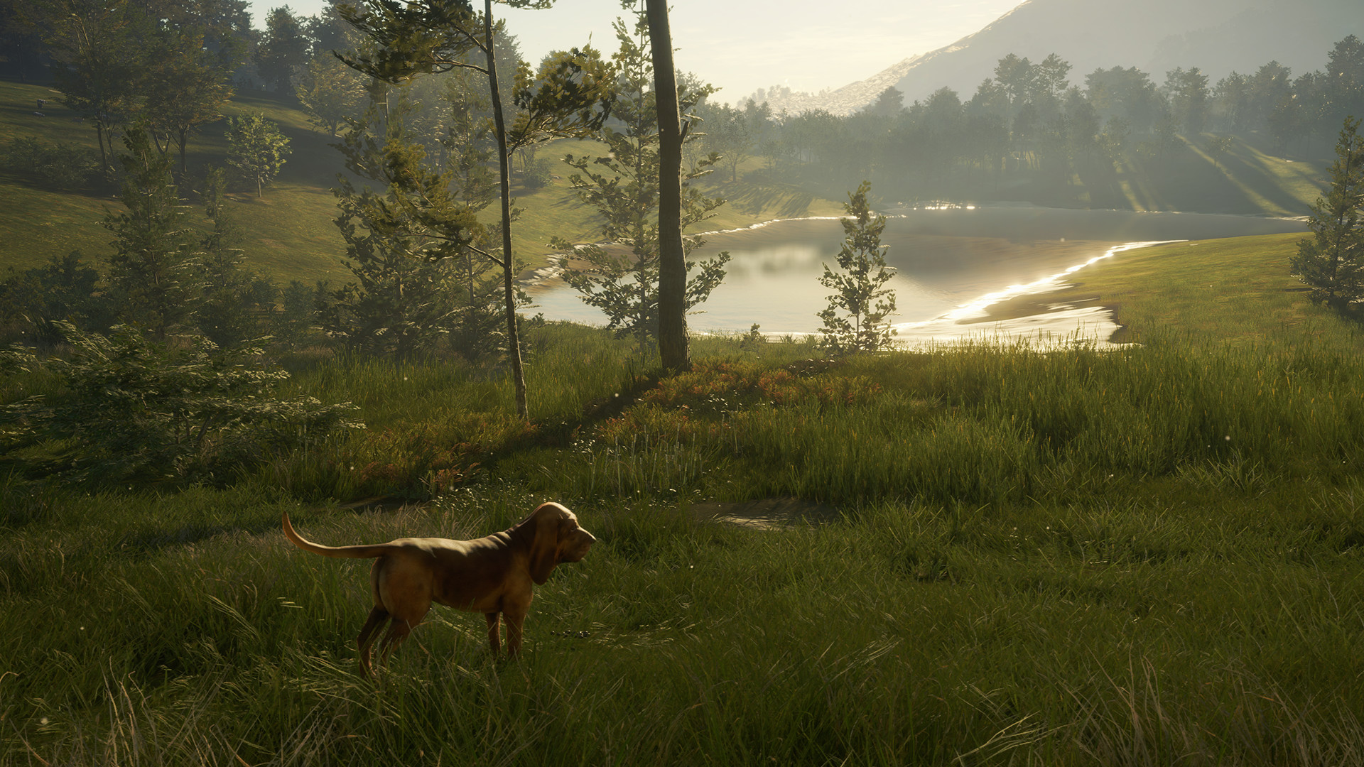 TheHunter: Call of the Wild – Bloodhound
