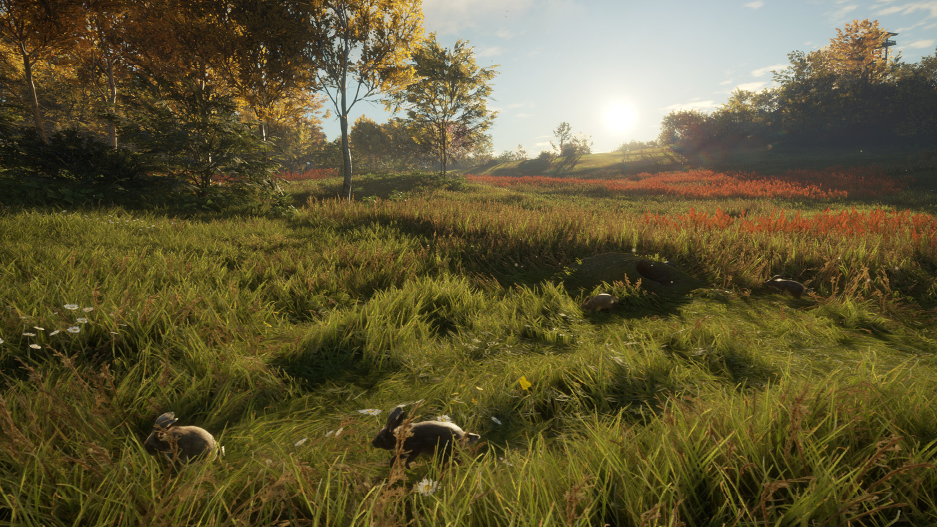 TheHunter: Call of the Wild – Free Species: European Rabbit
