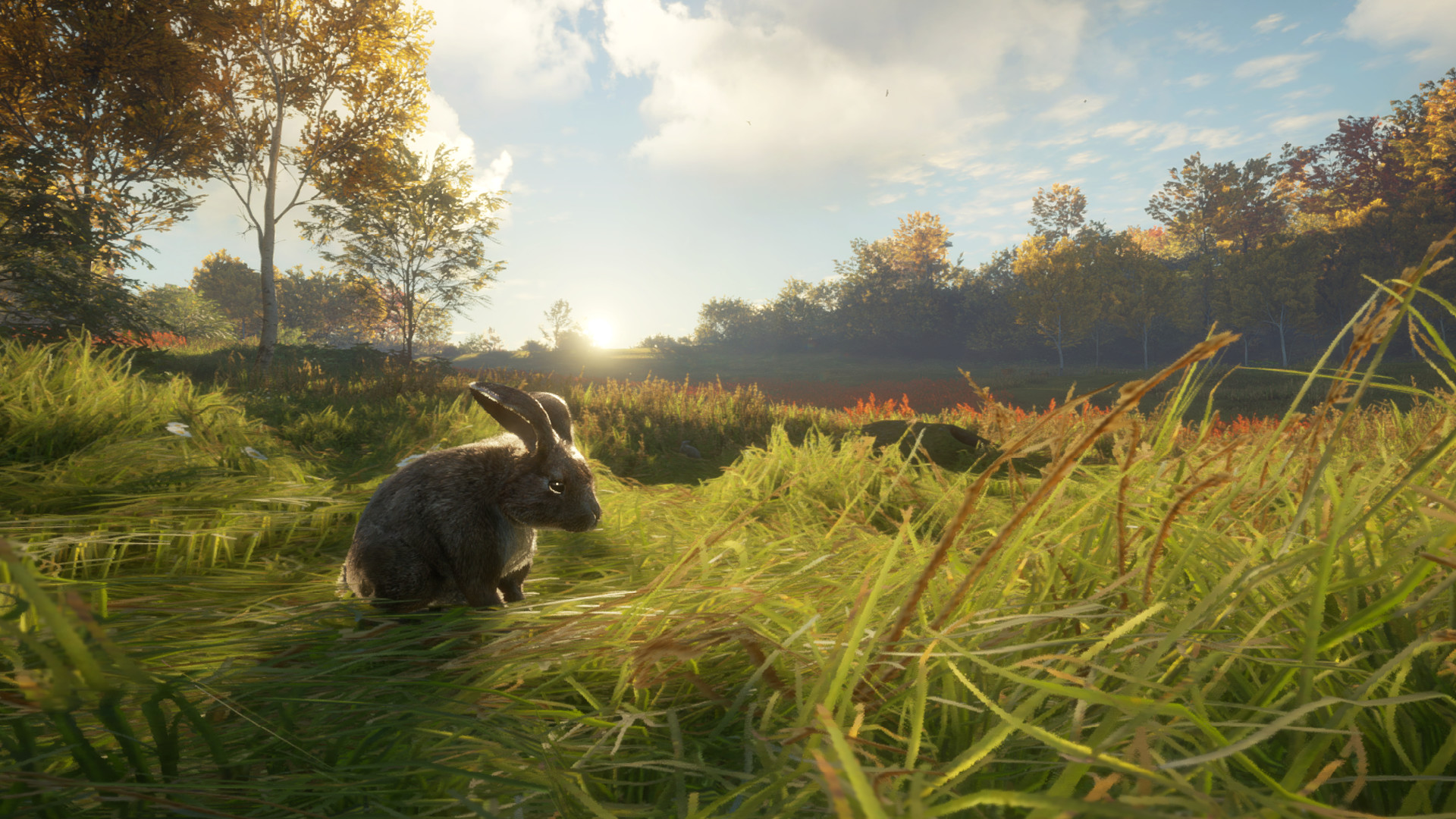 TheHunter: Call of the Wild – Free Species: European Rabbit