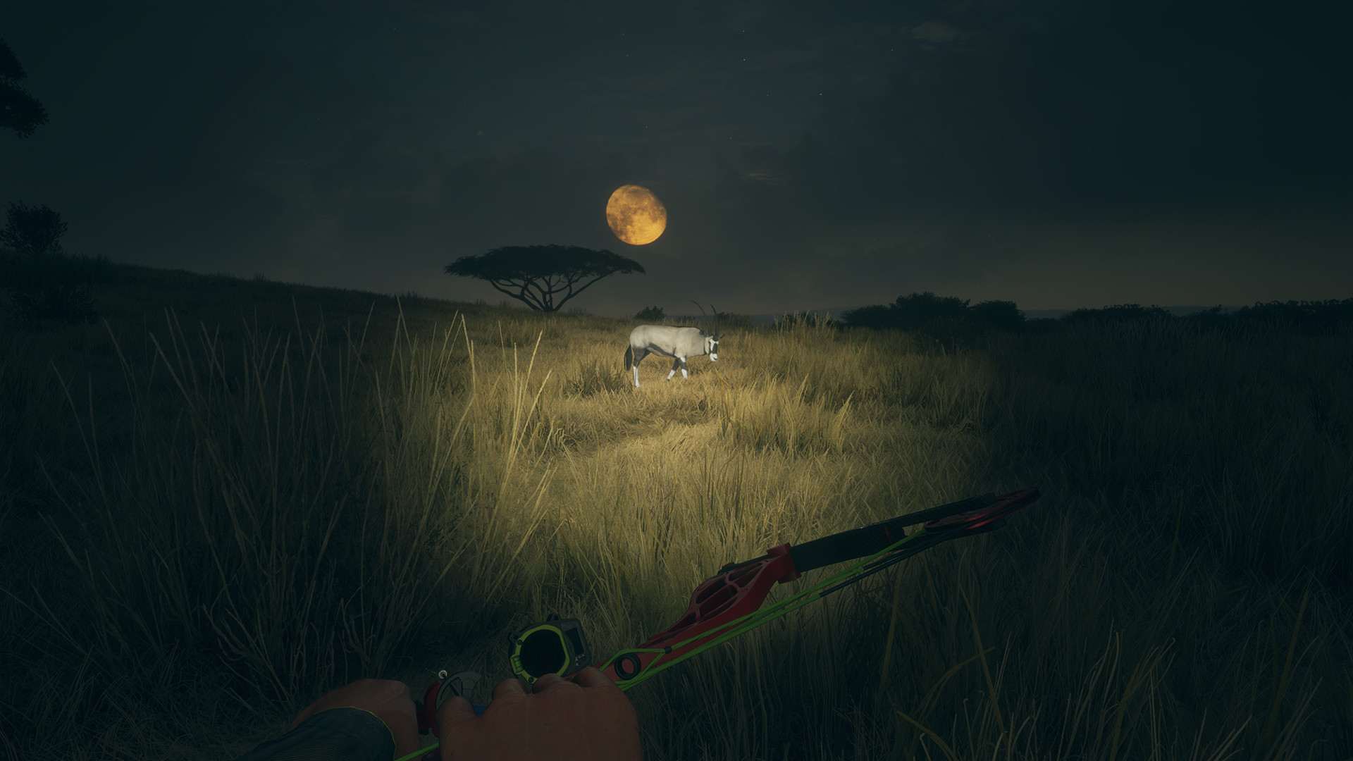TheHunter: Call of the Wild – High-Tech Hunting Pack