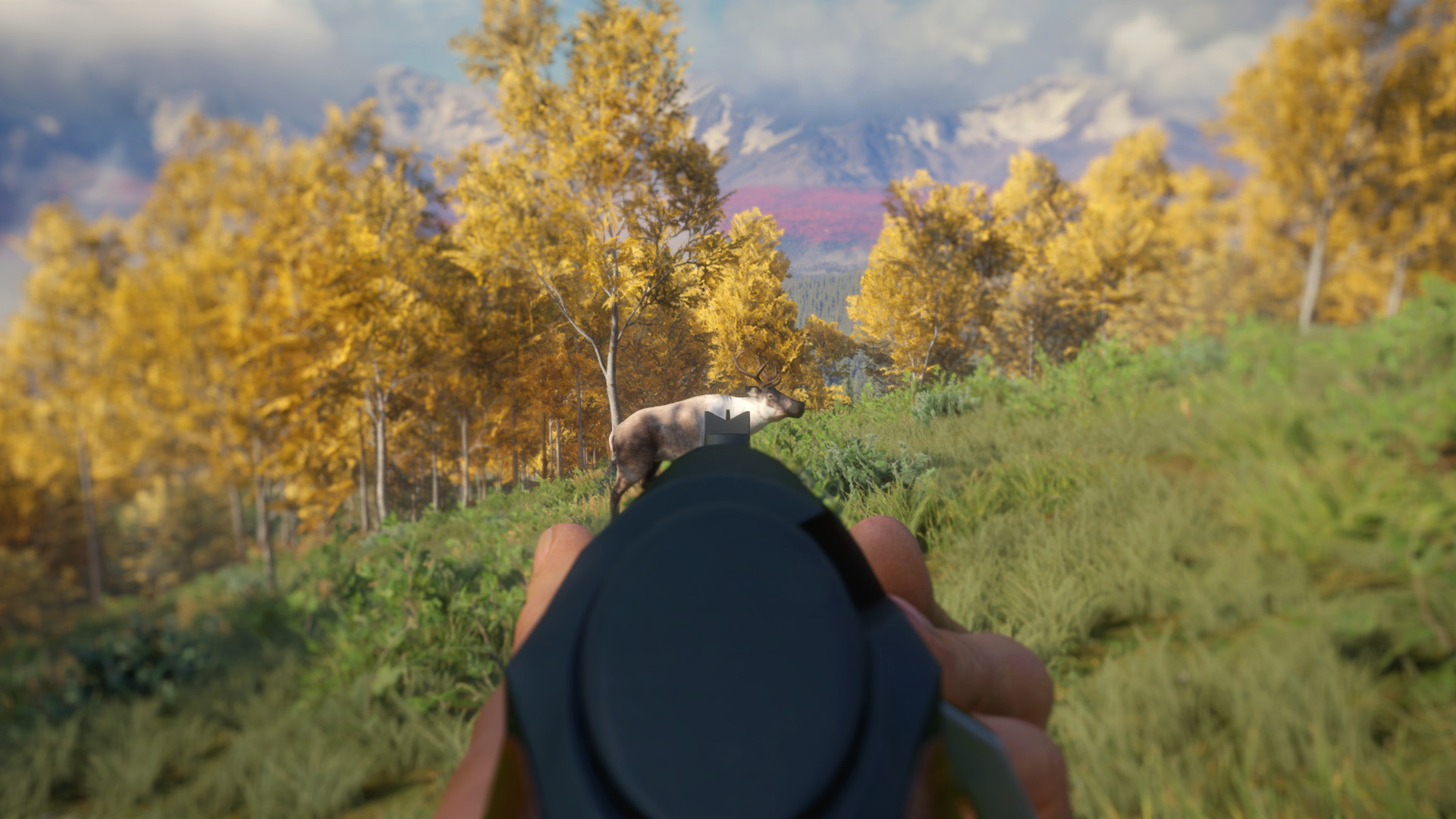 TheHunter: Call of the Wild – Weapon Pack 3