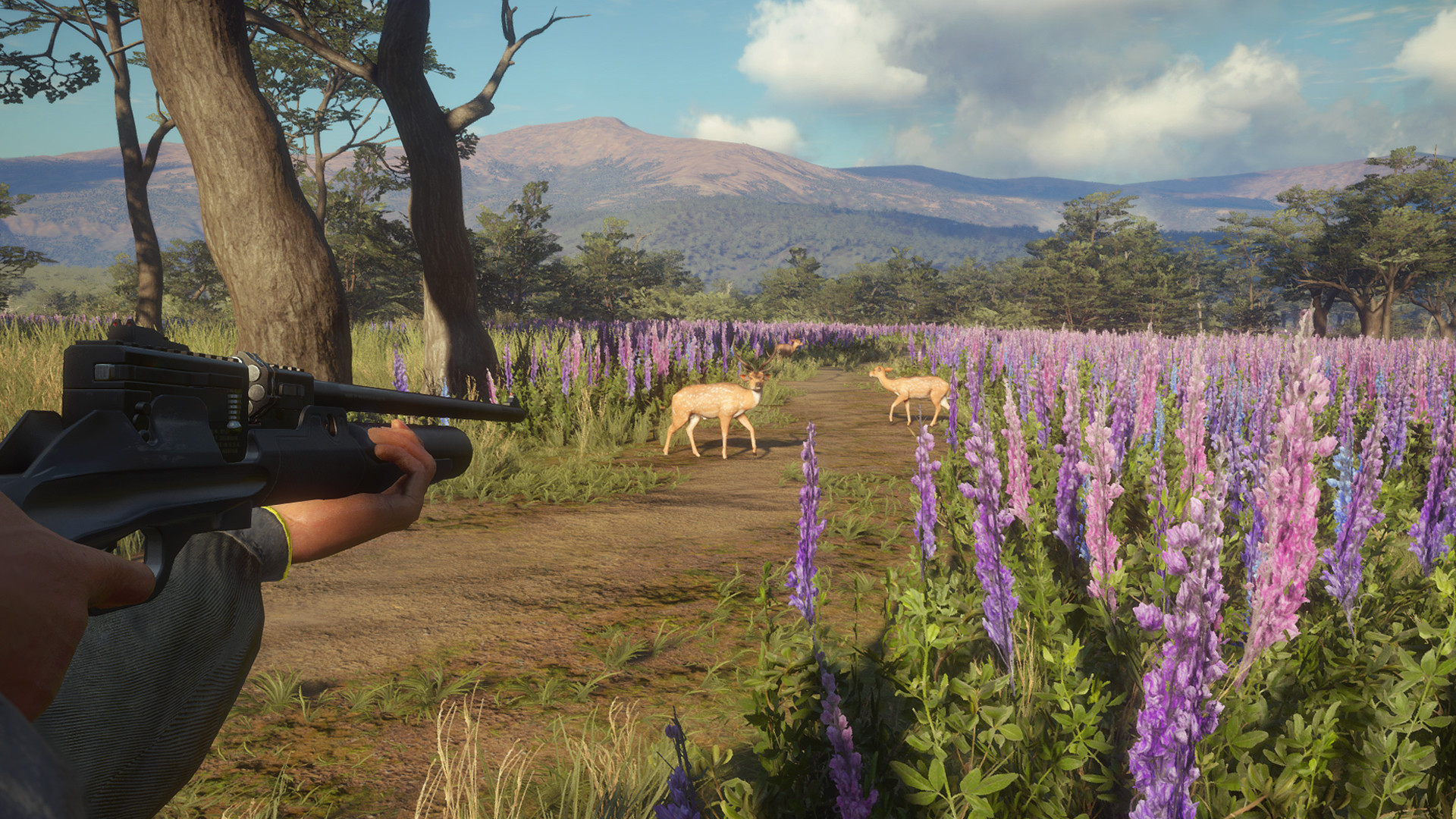 TheHunter: Call of the Wild – Weapon Pack 3