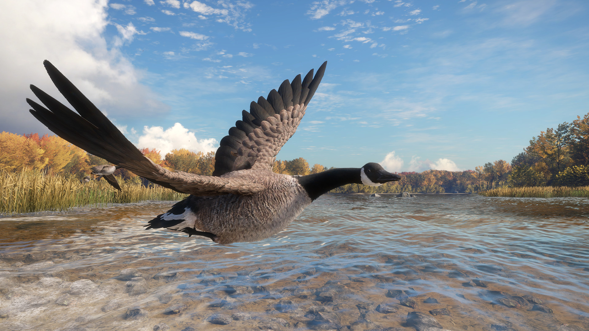 TheHunter: Call of the Wild – Wild Goose Chase Gear