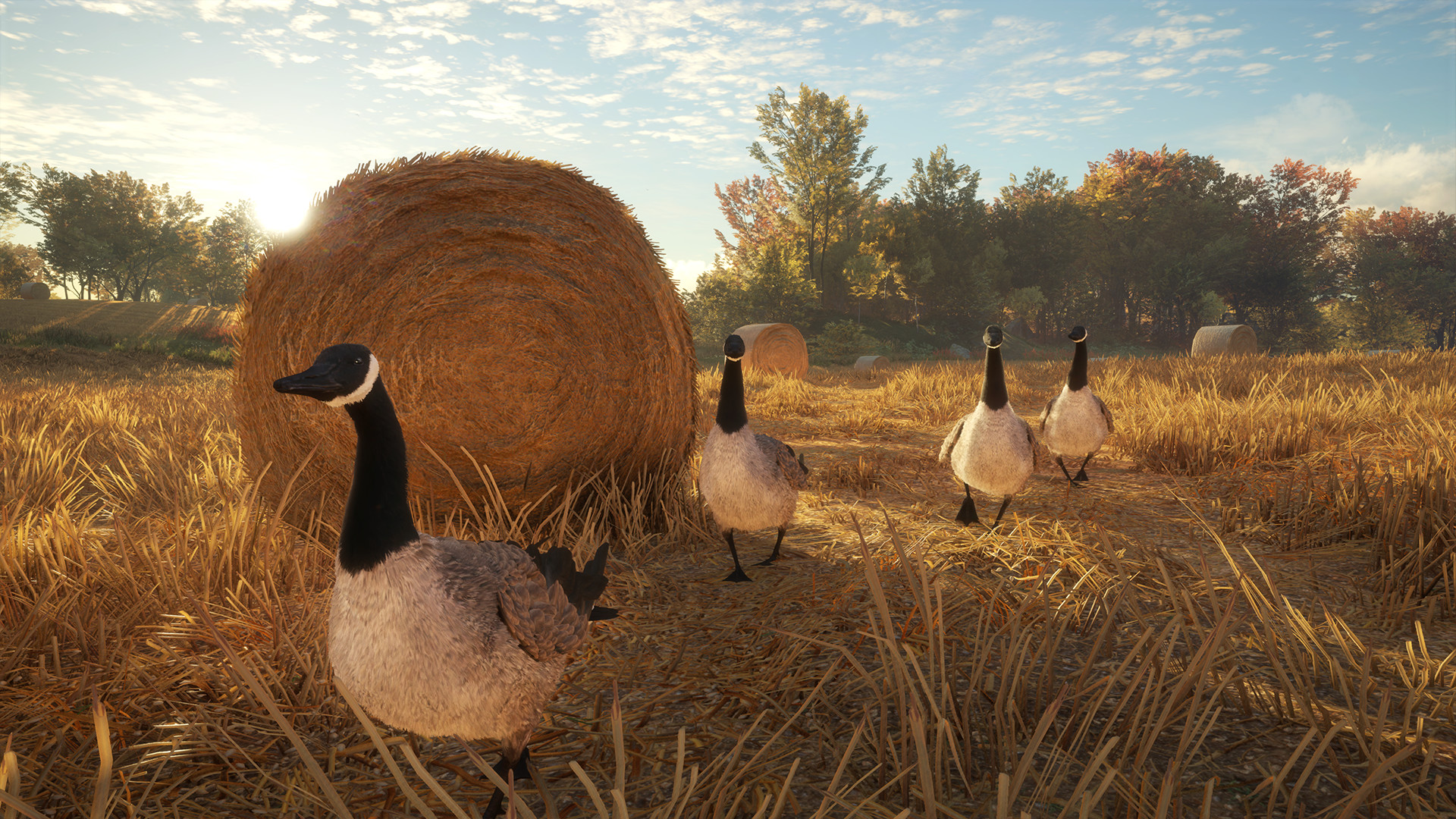 TheHunter: Call of the Wild – Wild Goose Chase Gear