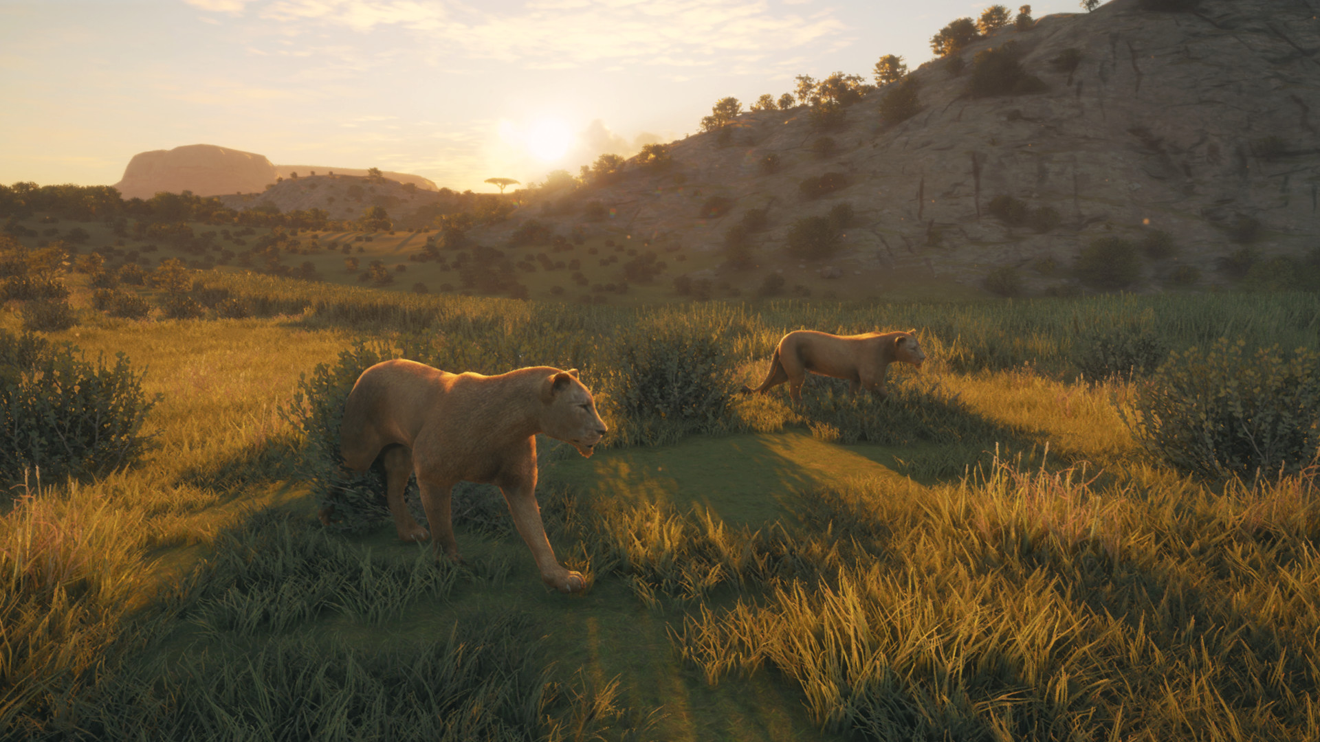 TheHunter: Call of the Wild – New Species 2019