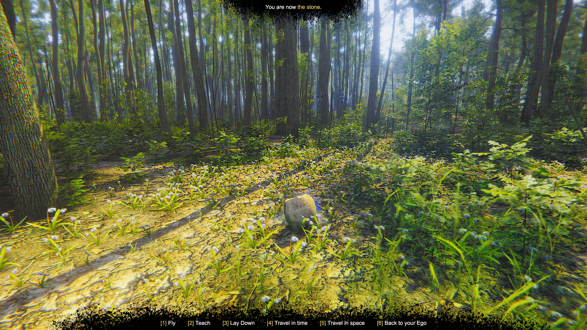 Mindfulness Simulator: ASMR Meditation Game