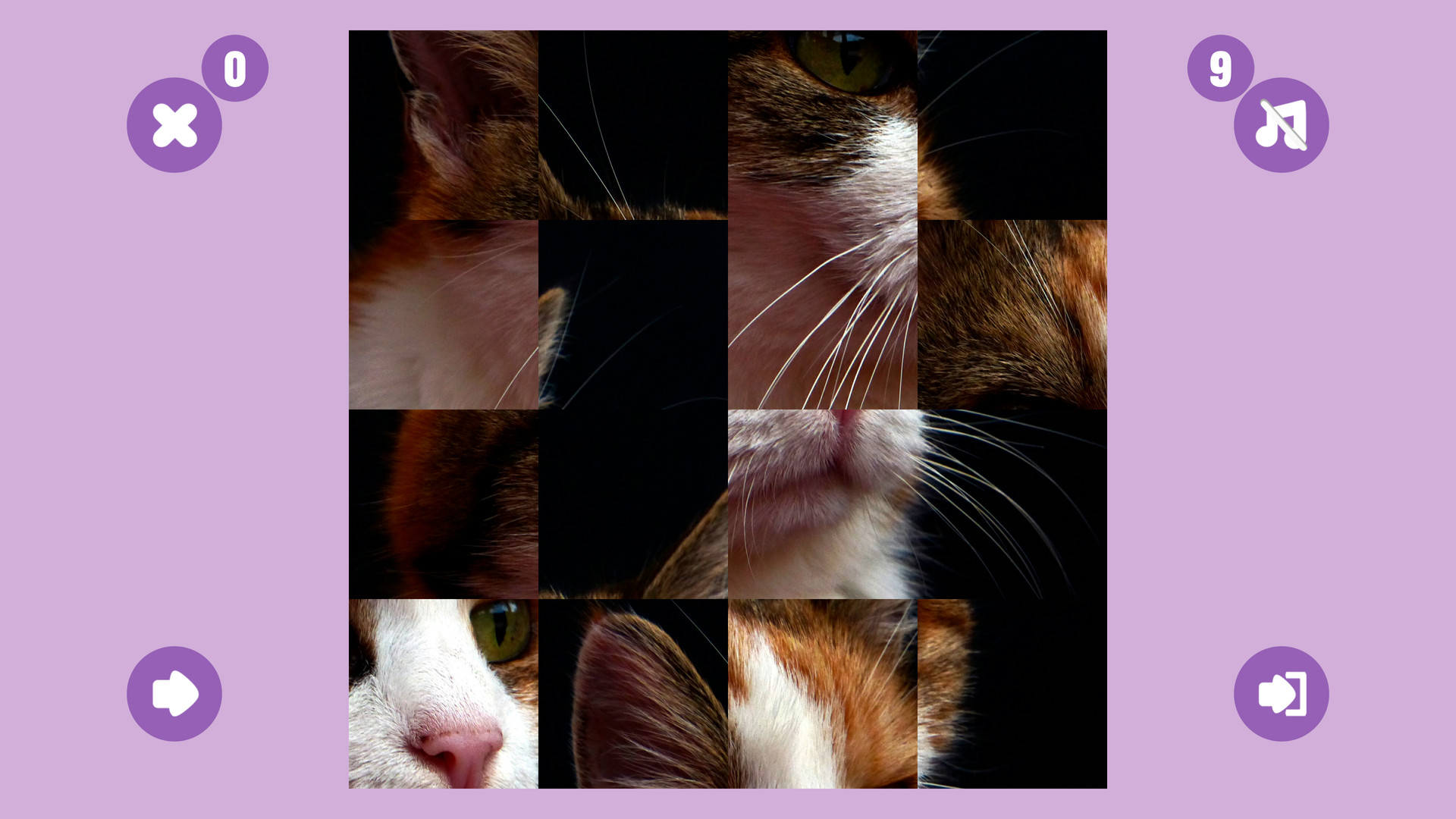 Cat Game
