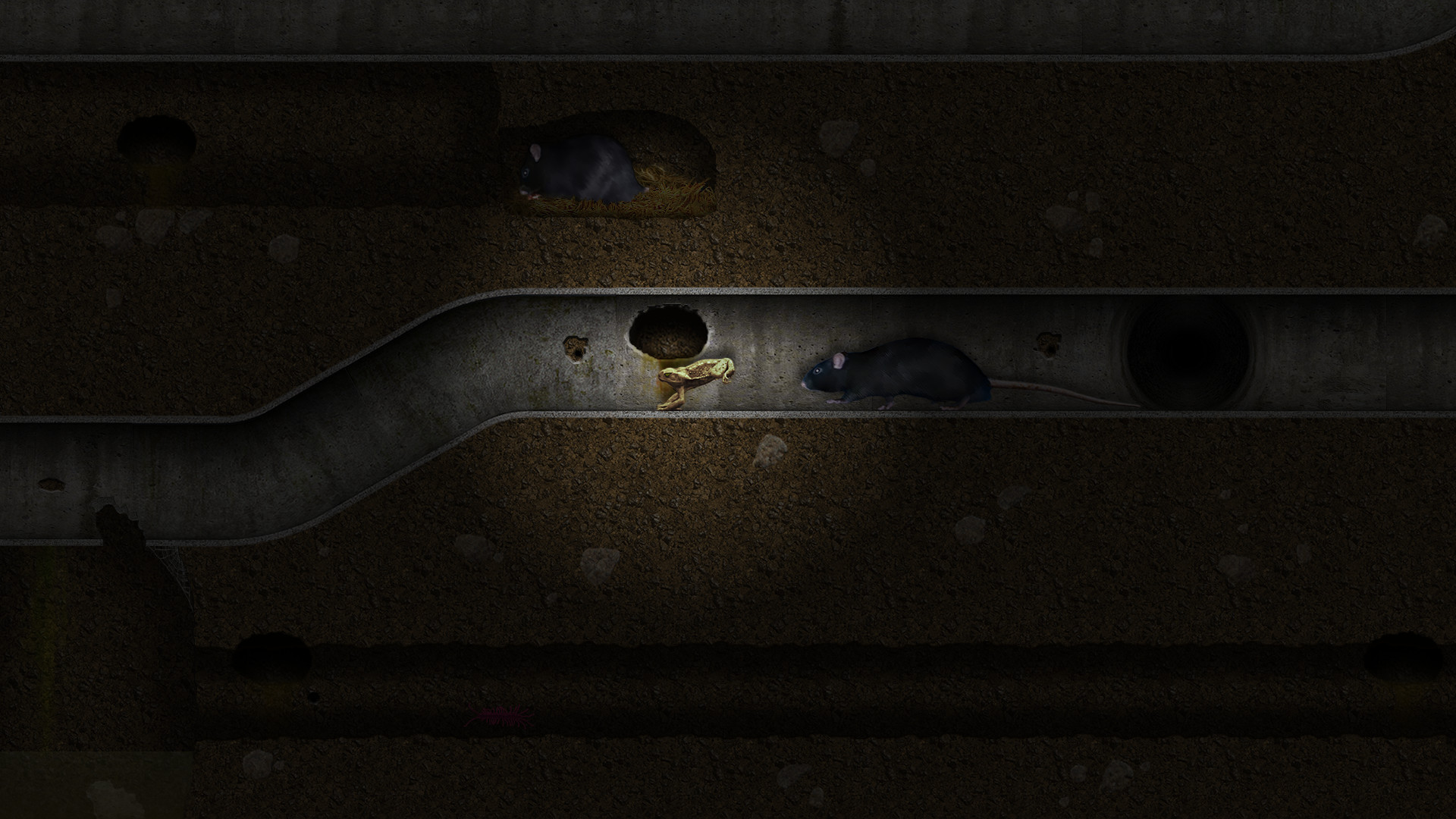 A toad well travelled