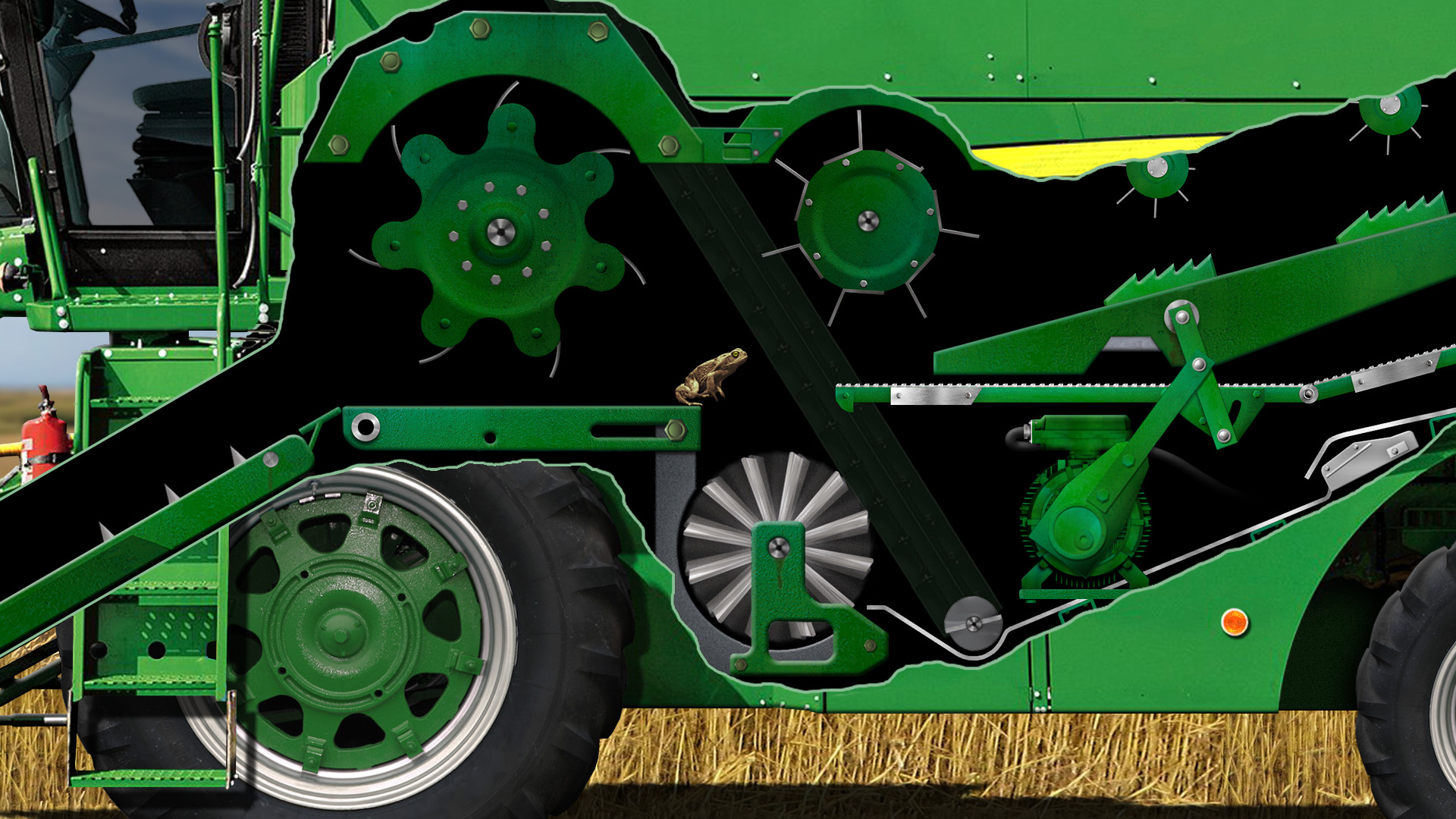 A toad well travelled