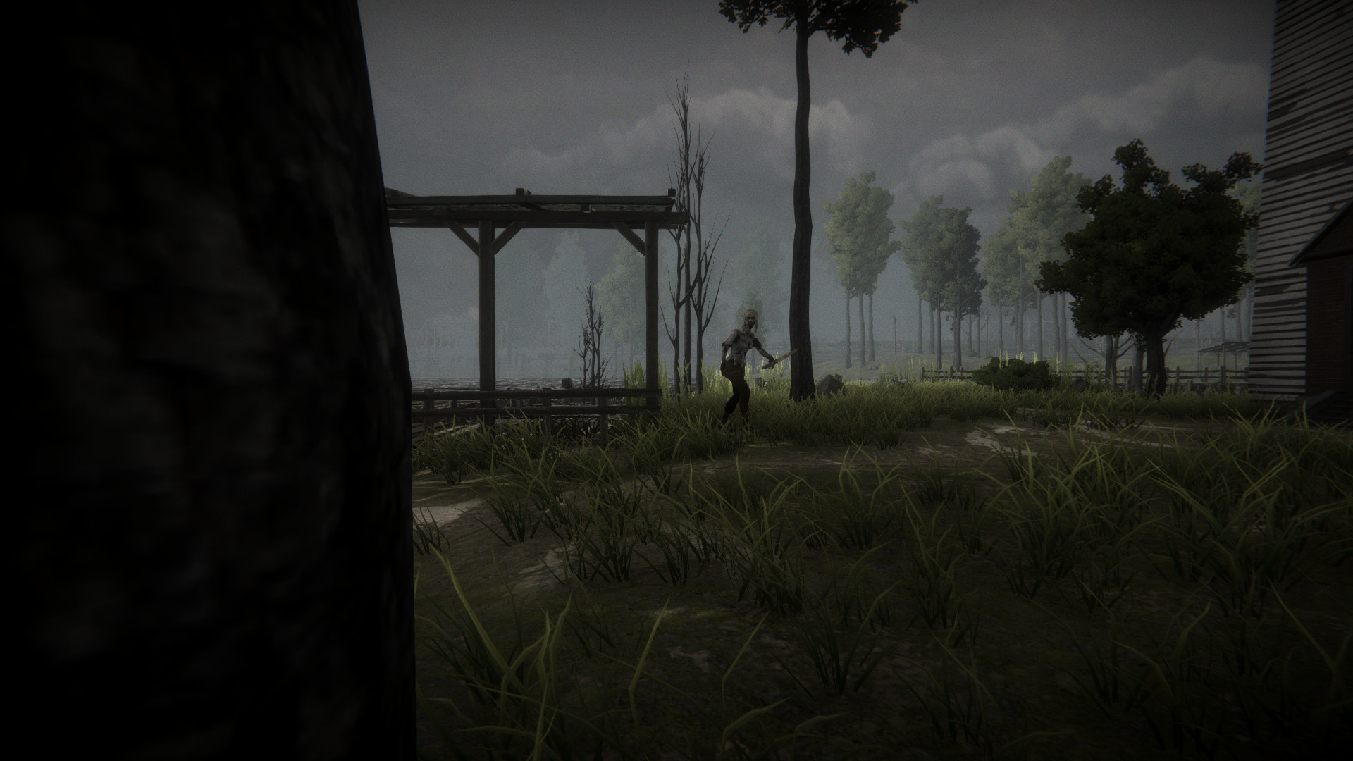 The Shadelight