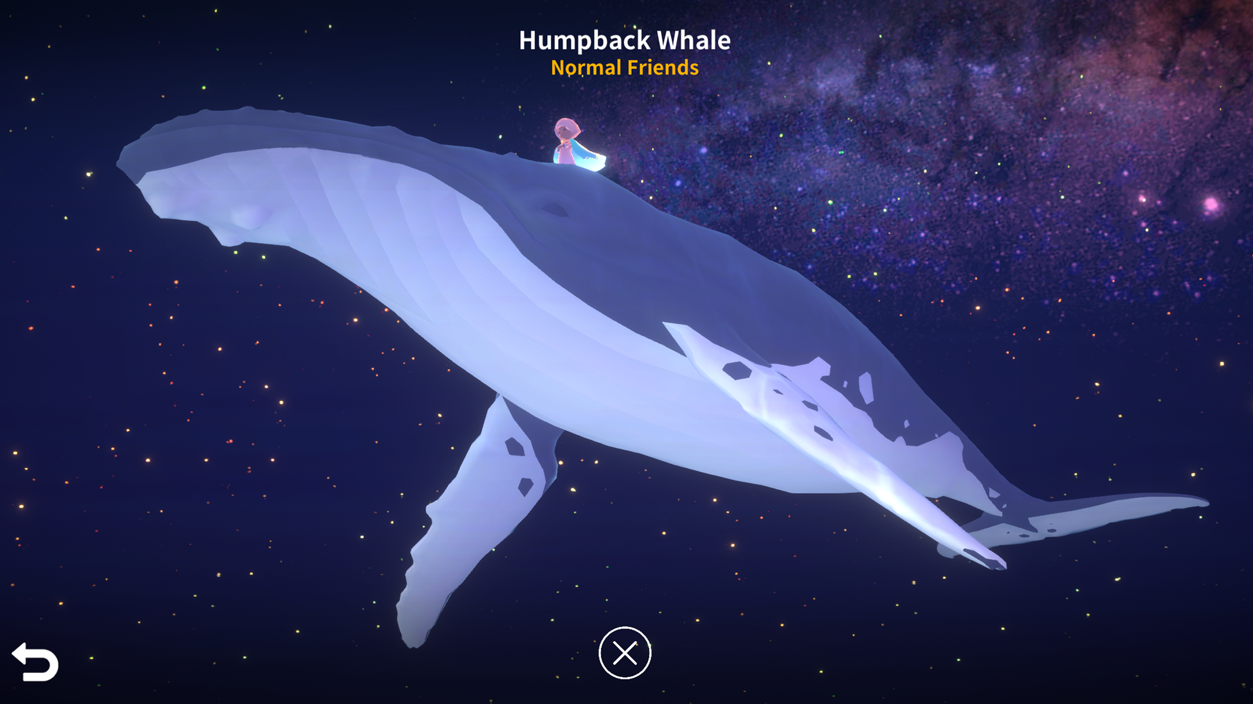 Ocean: The Place in Your Heart