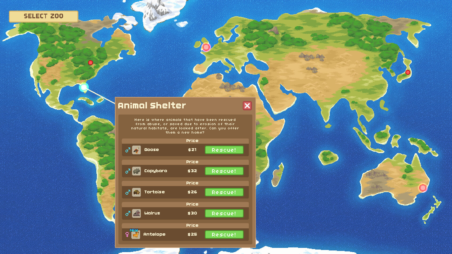 Let’s Build a Zoo + Dinosaur Island Bundle