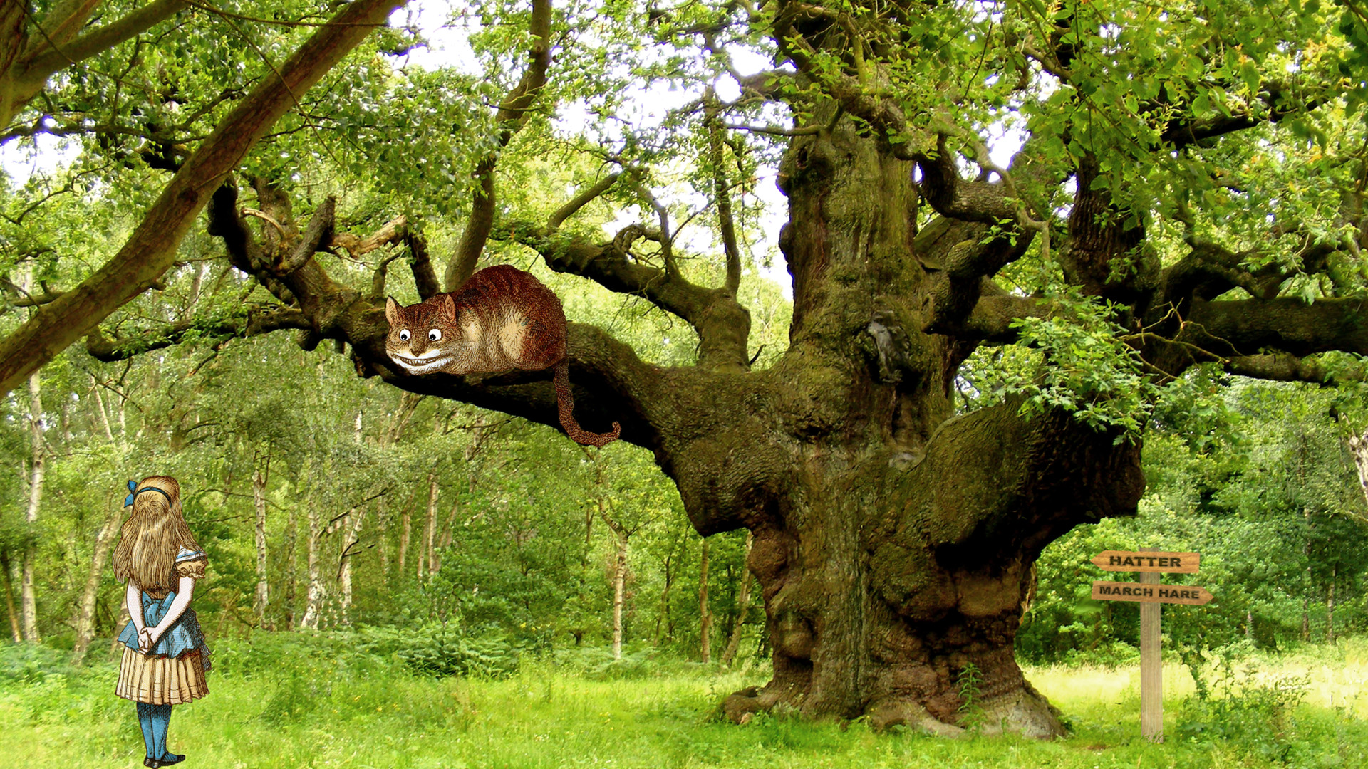 Lewis Carroll’s Alice