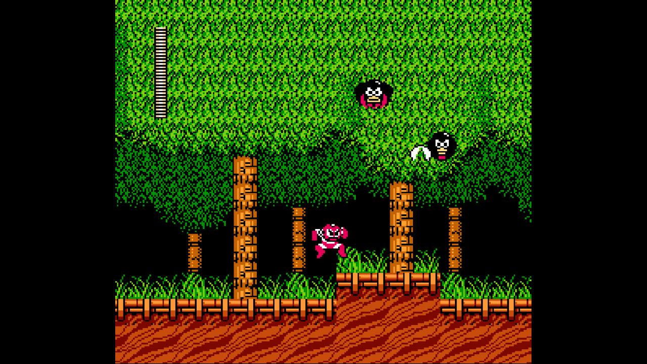 Mega Man: Day in the Limelight 2