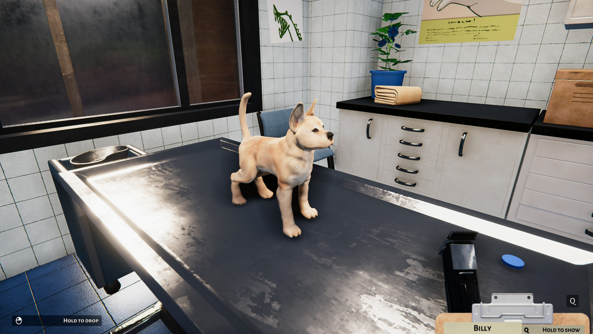 Animal Shelter Simulator: Puppies &amp; Kittens