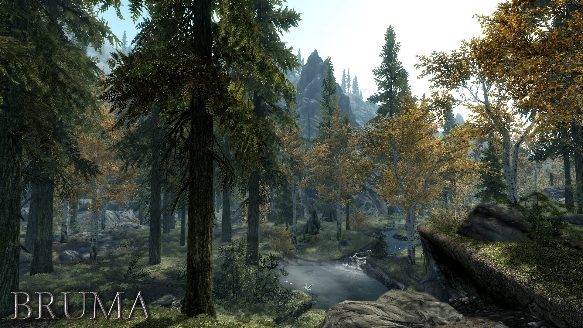 Beyond Skyrim: Bruma